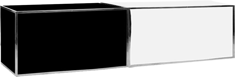 BLack and white side by side bar.png