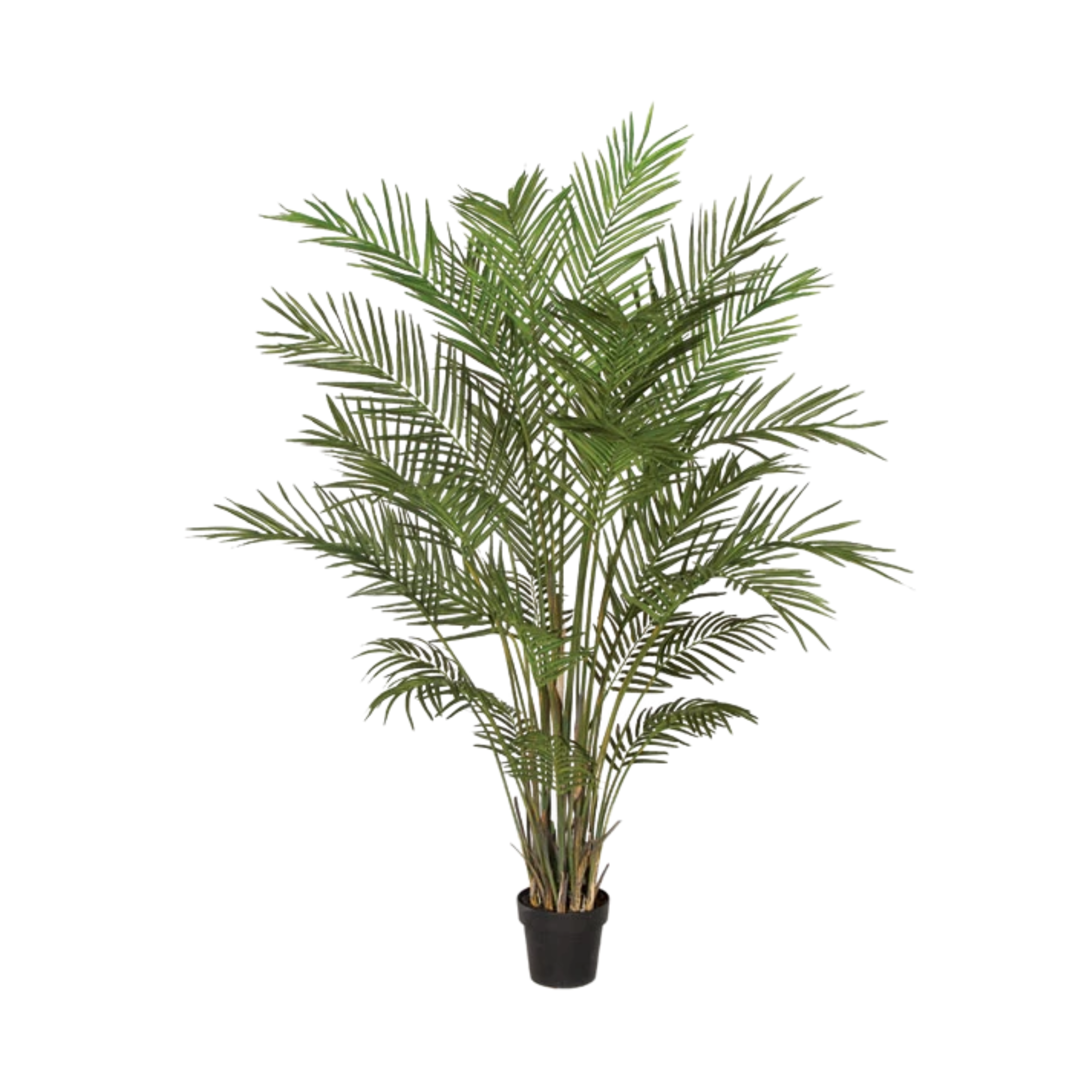 Artificial potted palm plant with green fronds in a black pot.