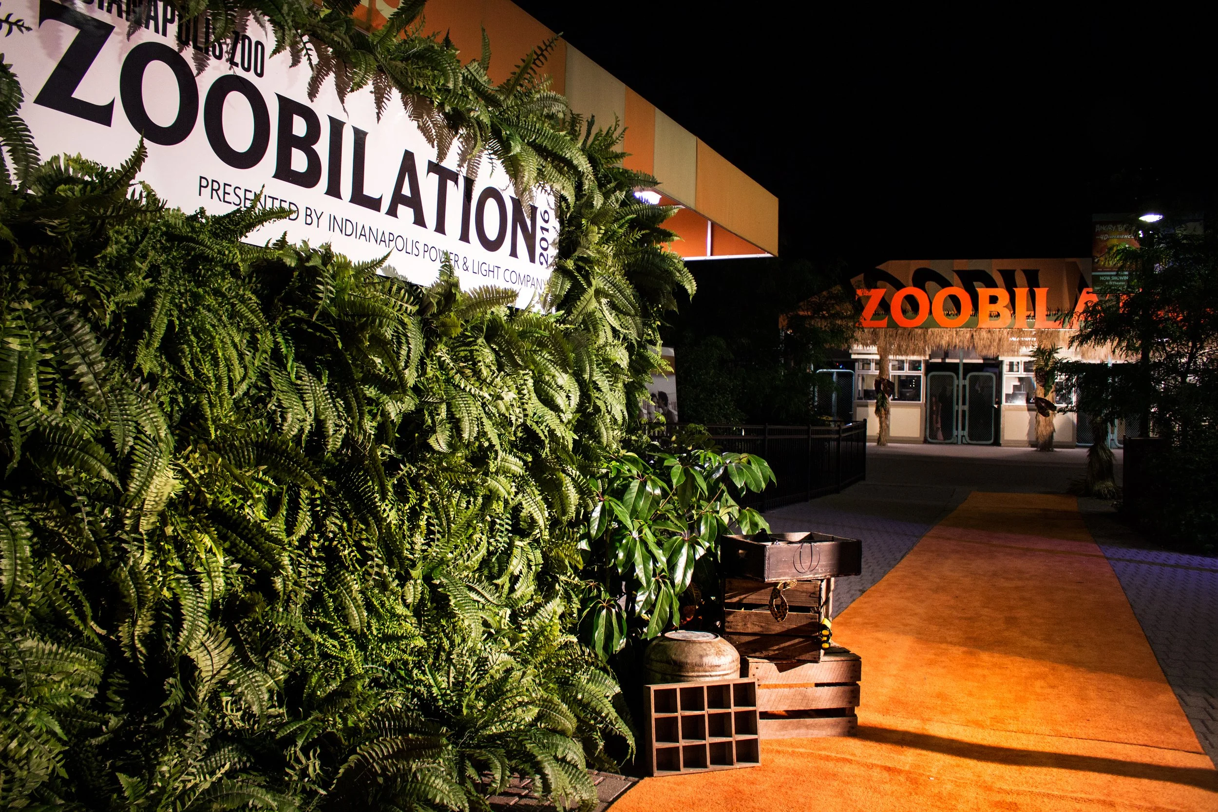 Zoobilation Fern Wall.jpg