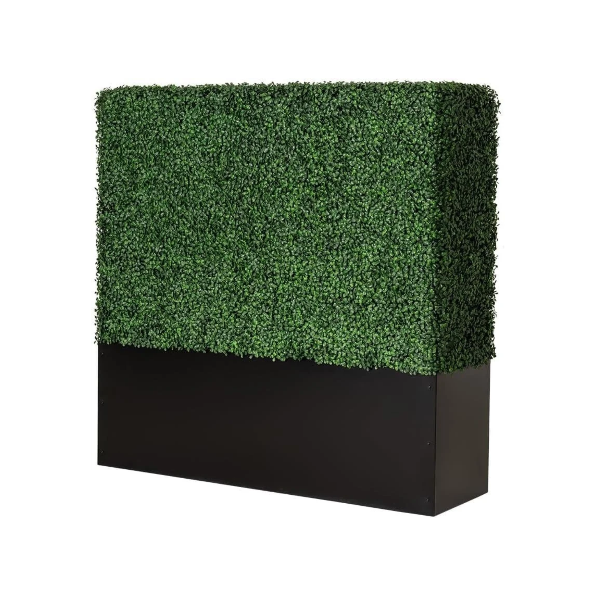 A black podium with a lush green hedge on top, against a white background.