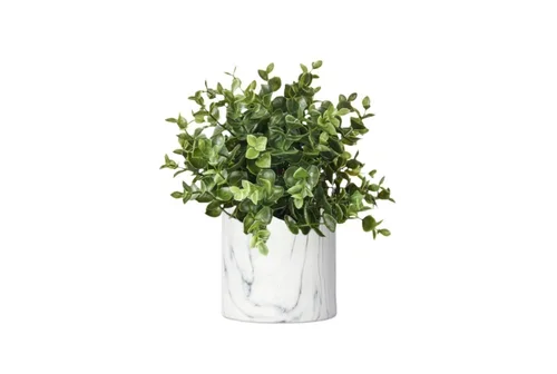 An indoor potted plant with green foliage in a white marble-patterned pot.
