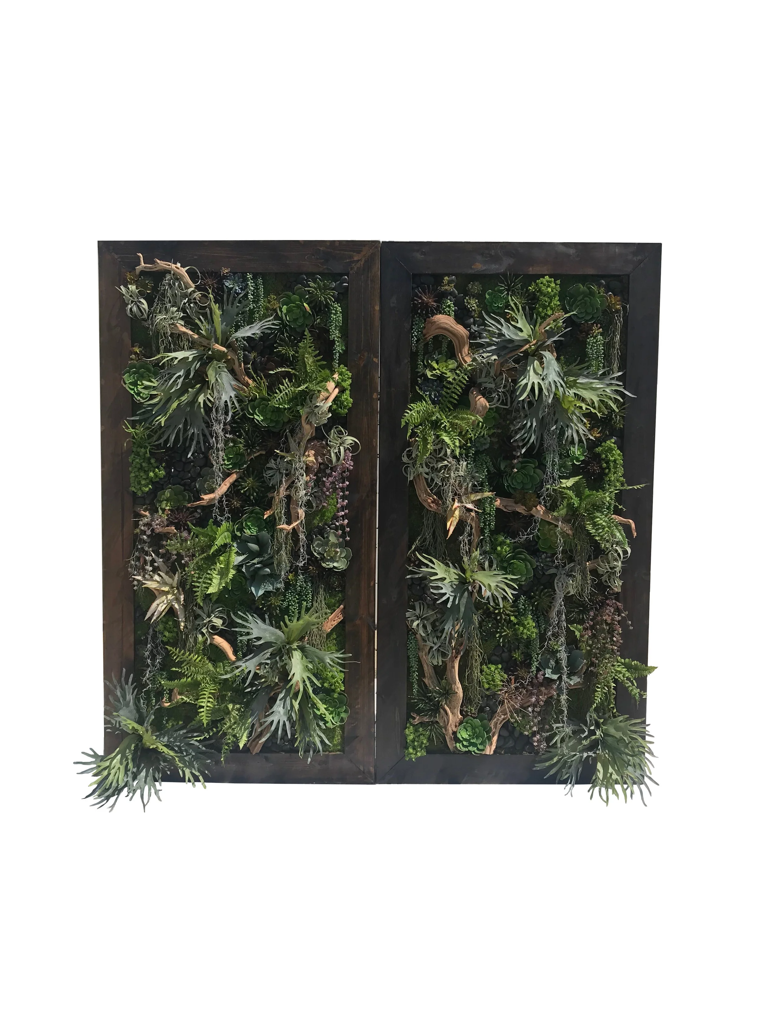 A framed vertical garden with various green plants and succulents arranged inside a black wooden frame.