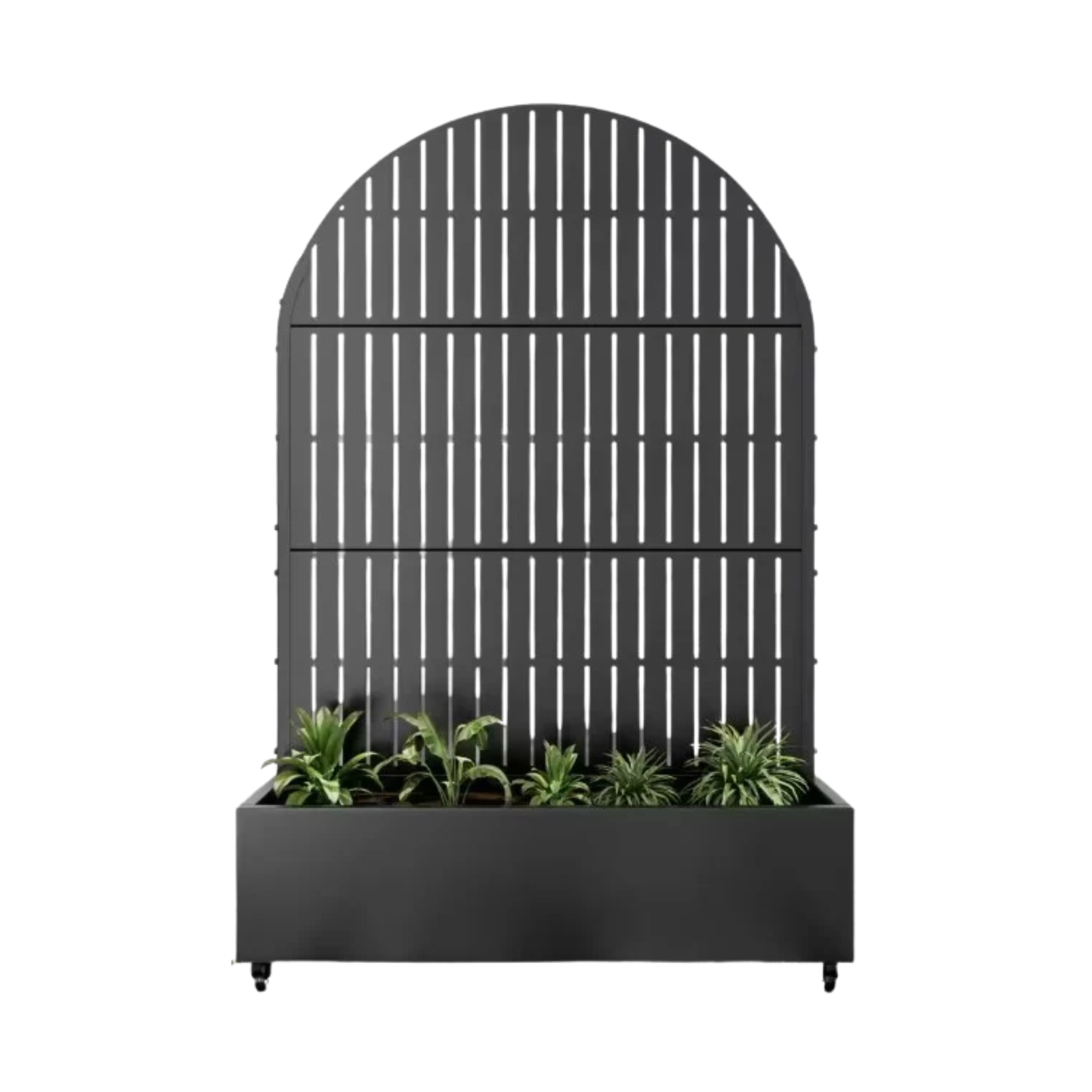 A black metal garden trellis with vertical bars, set in a black planter box with small green plants at the base, against a white background.