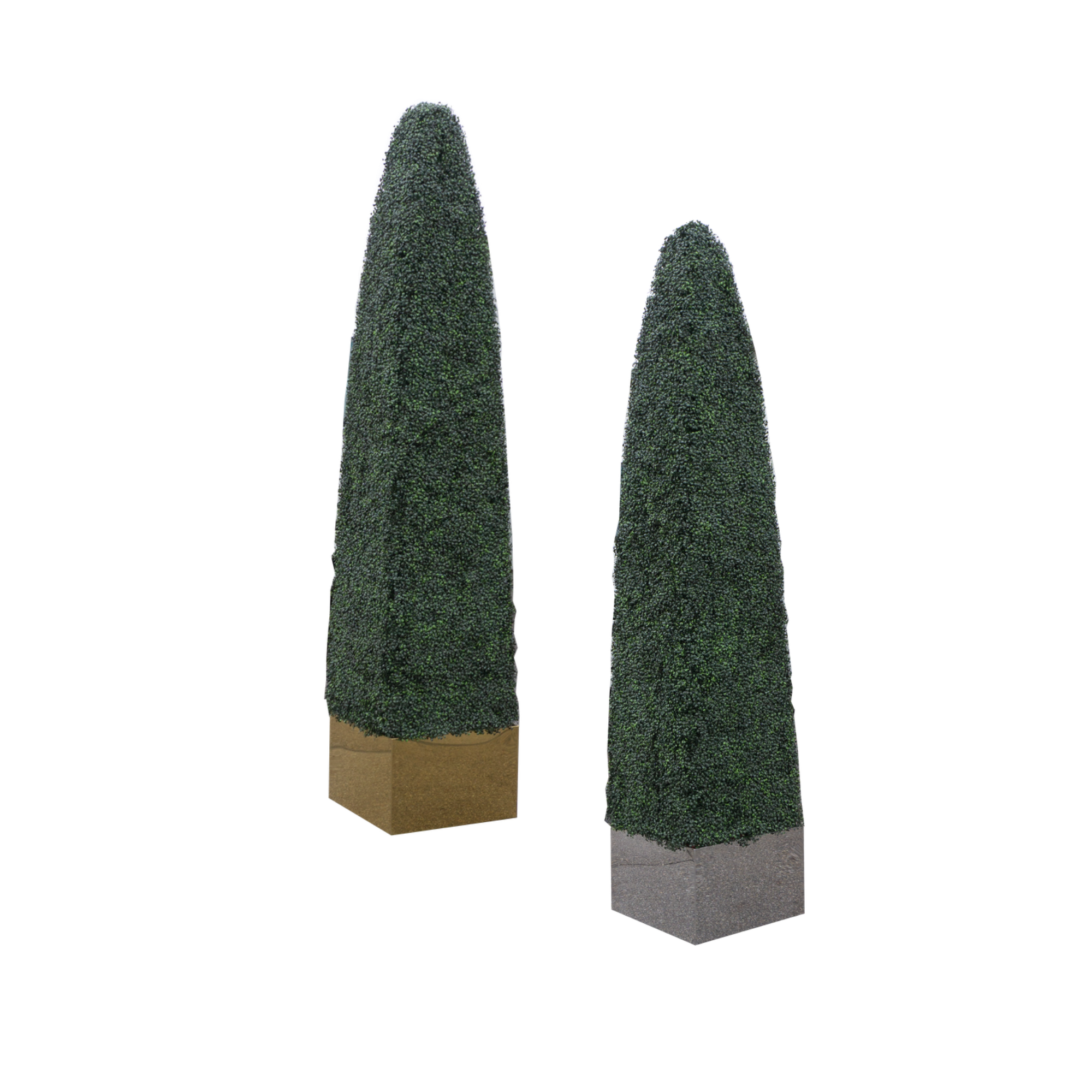 Two tall, cone-shaped trees with dense dark green foliage against a white background, mounted on a wooden and a concrete base.