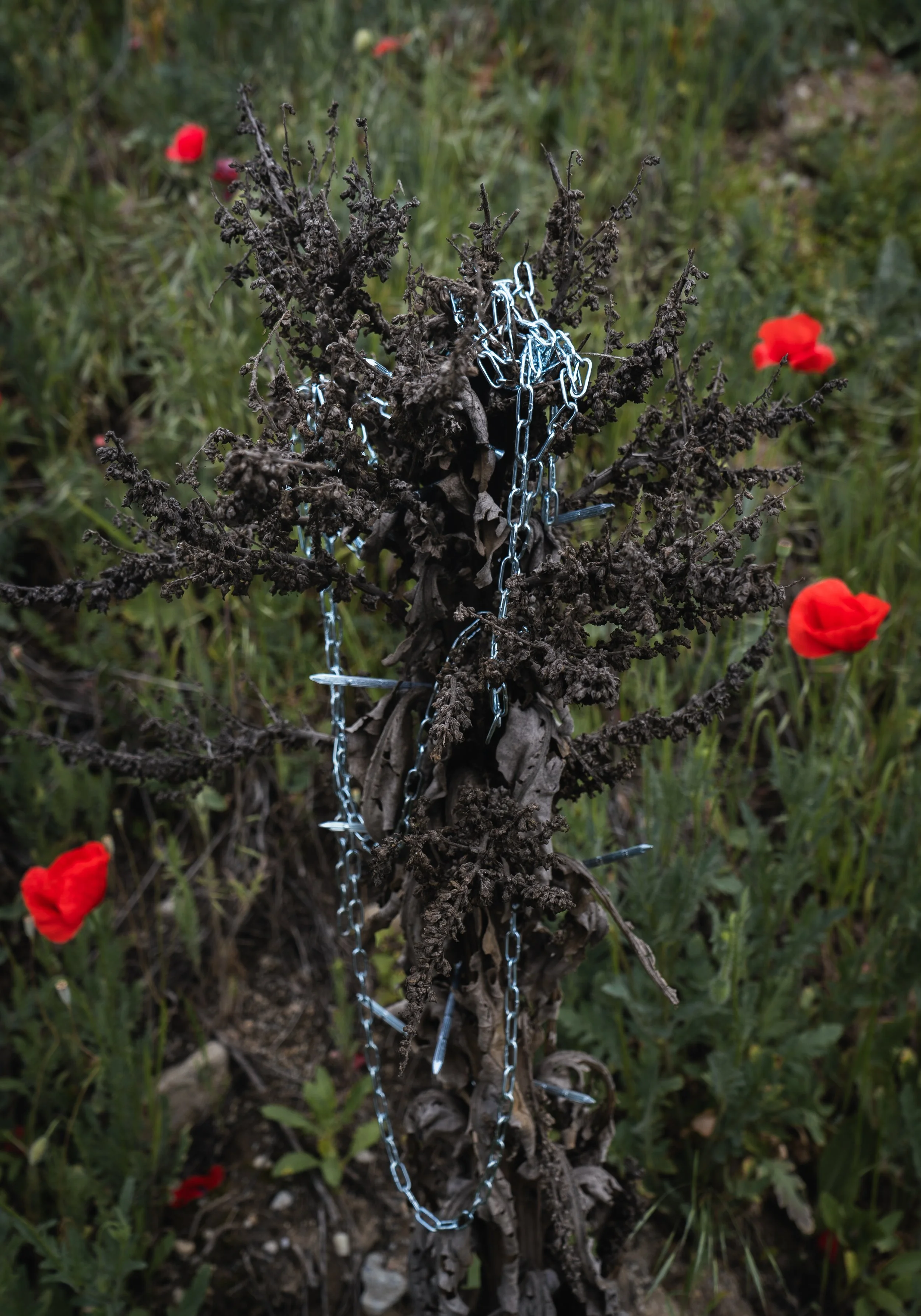 100x70-5.jpg