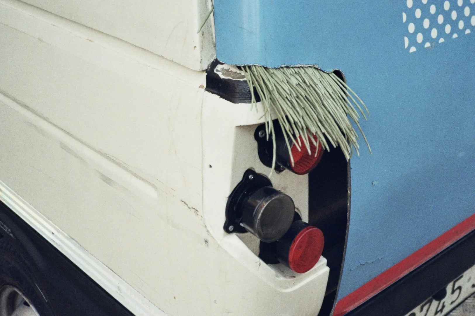 Tiny_08.jpg