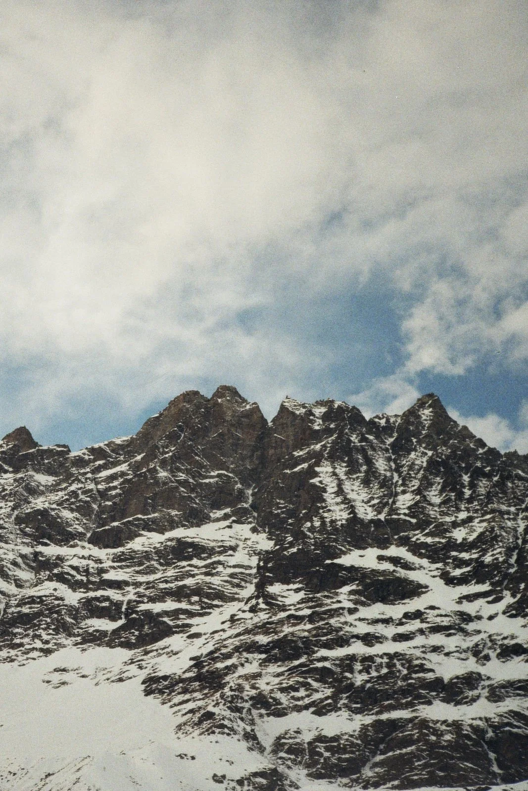 Tiny_06.jpg