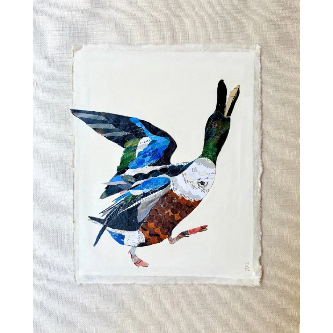 Meet Jubilee. Fun and a little quirky, this mallard duck is cut from a variety of repurposed magazines, an astronomy map, a few National Geographic&rsquo;s and more. Jubilee is placed on an 11&rdquo;x14&rdquo; ivory washed mulberry paper and then flo