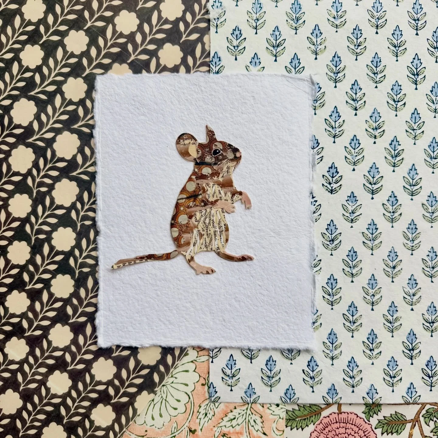 Fun morning frame planning these little field studies with @bycarrieowen ❤️ #paperscissorsglue #fieldstidy #mouse #papercollage #originalart