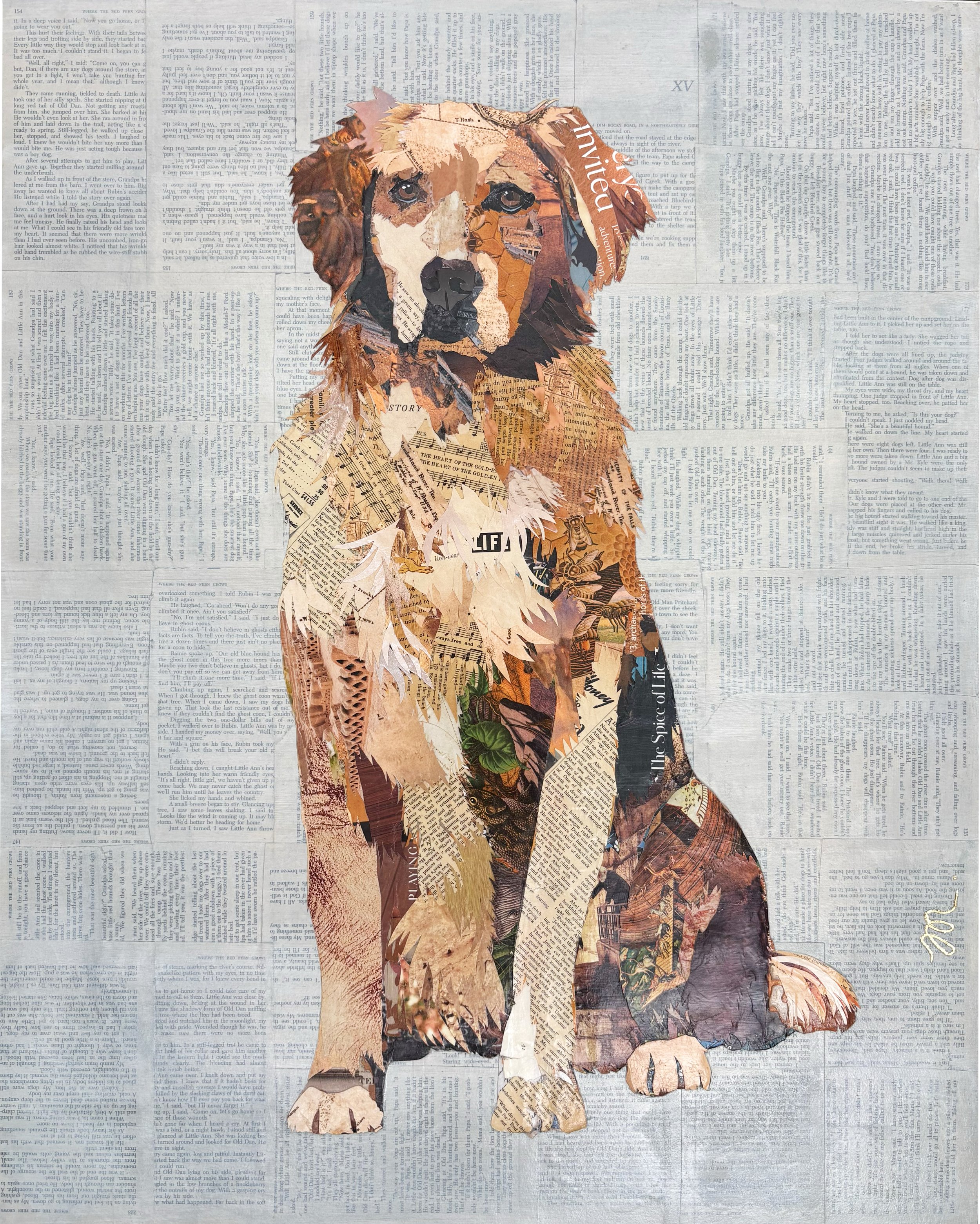 Cooper