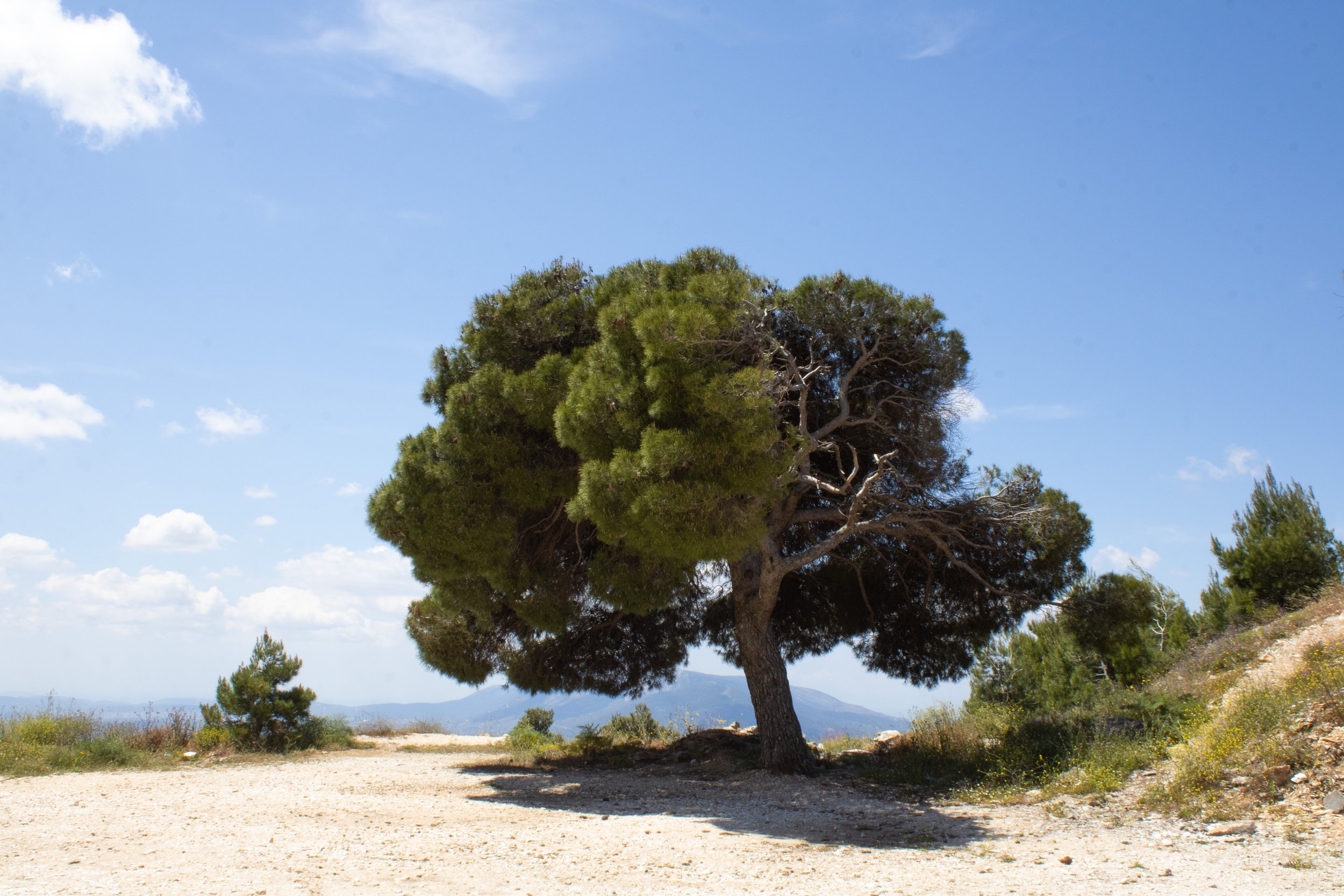 Greece-29.jpg