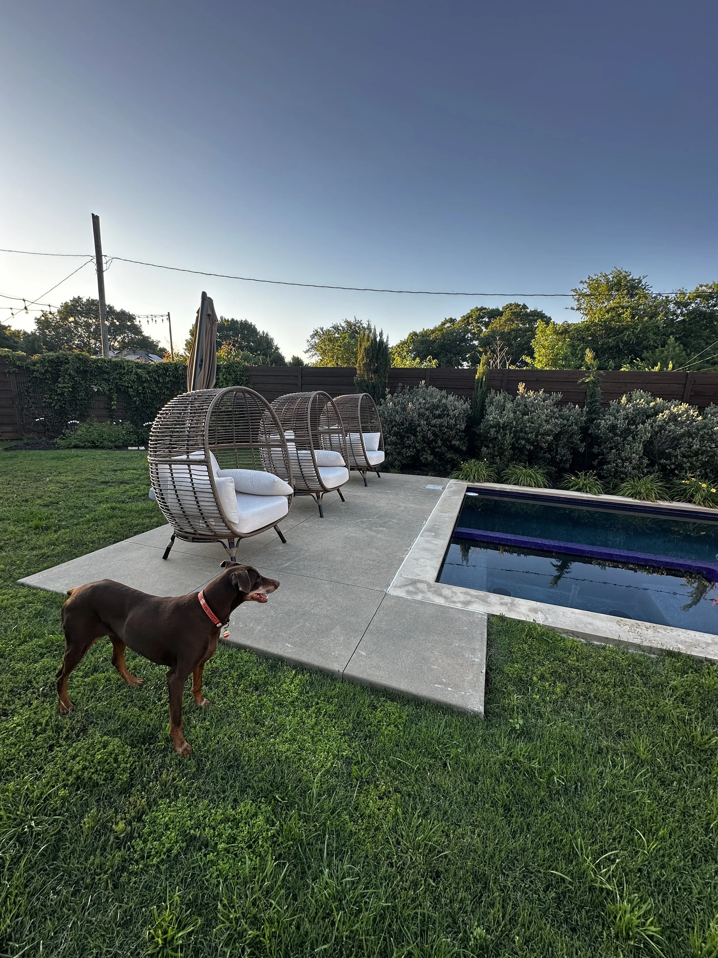 Pool before the patio cover was built.