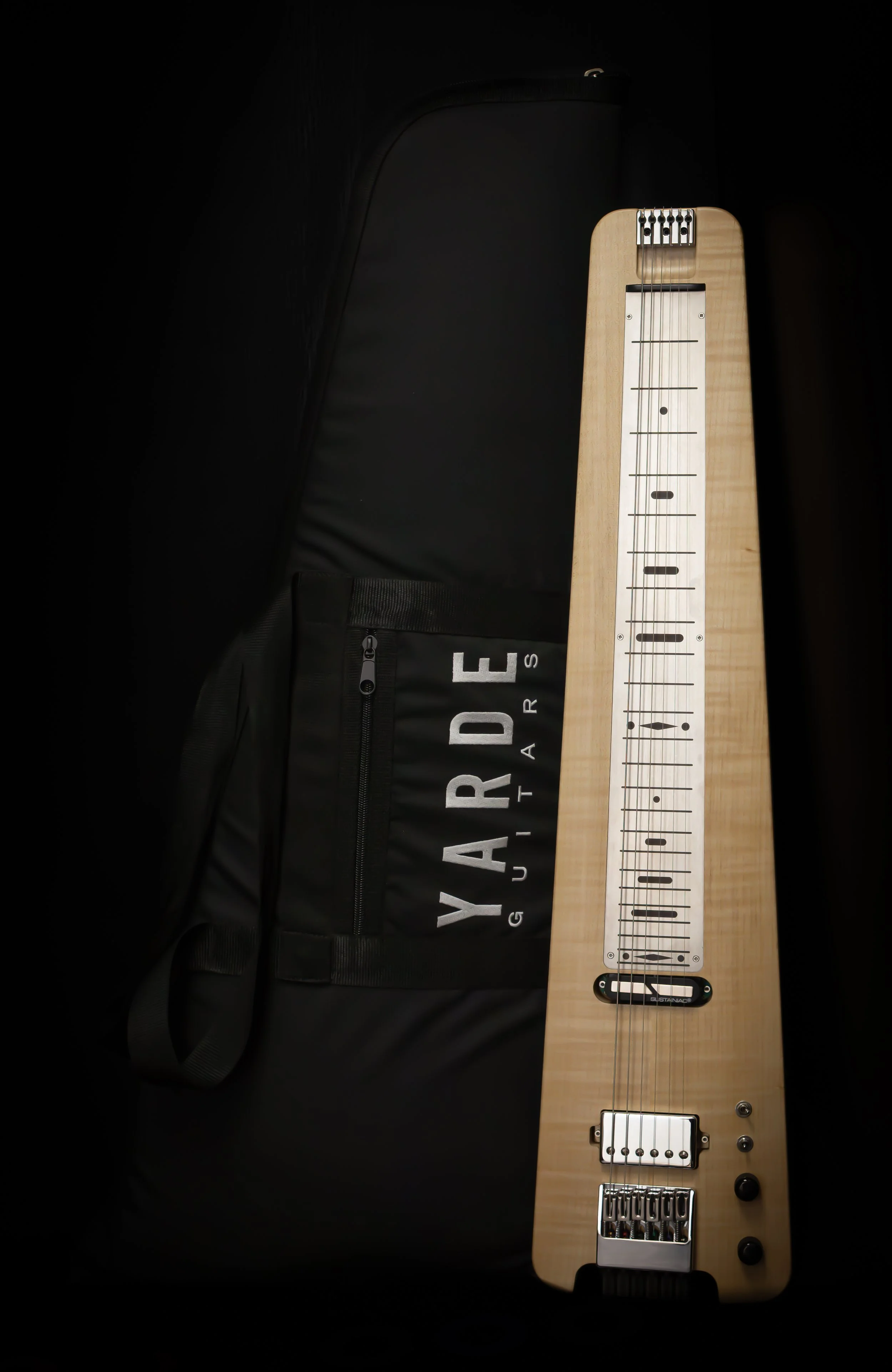 Lapsteel_Portrait View with Gigbag