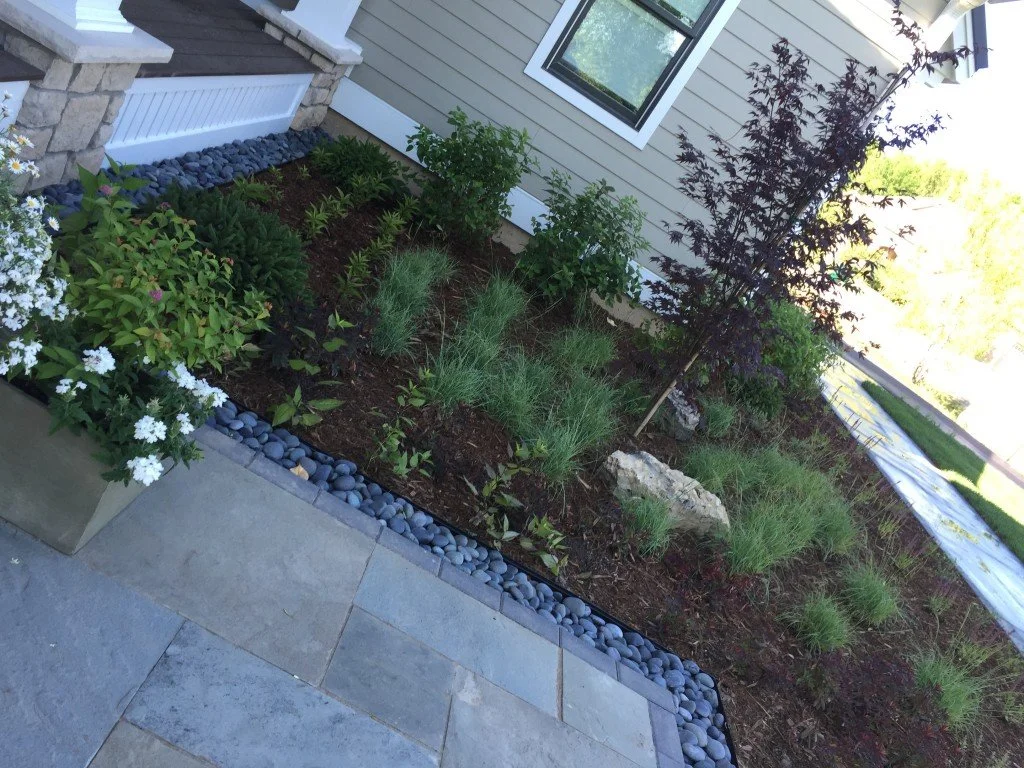 A landscaped garden bed next to a house with grey siding and a window, containing various plants, shrubs, and a small tree, bordered by decorative blue-gray rocks, adjacent to a concrete patio.