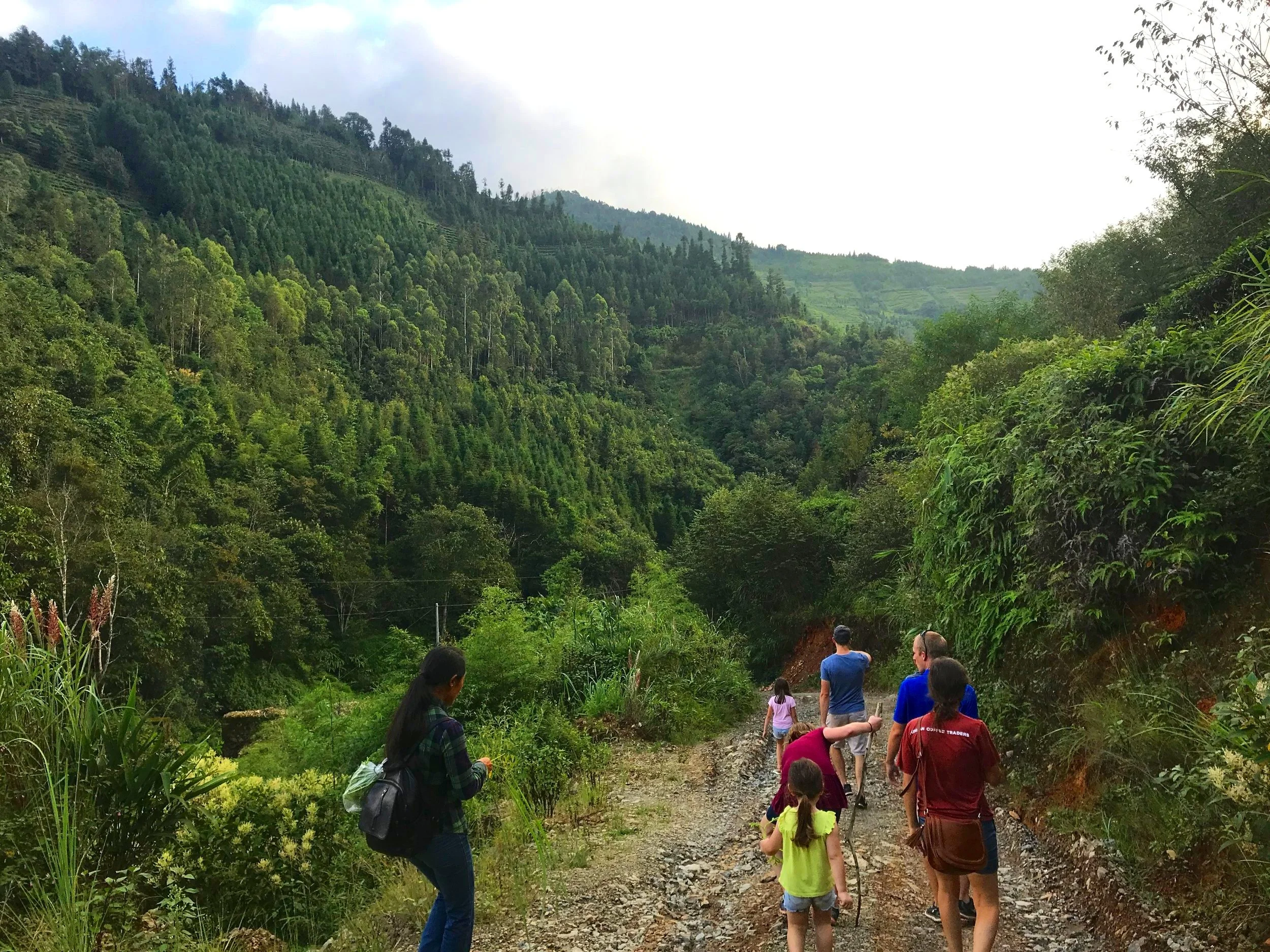 Training Beautiful Feet