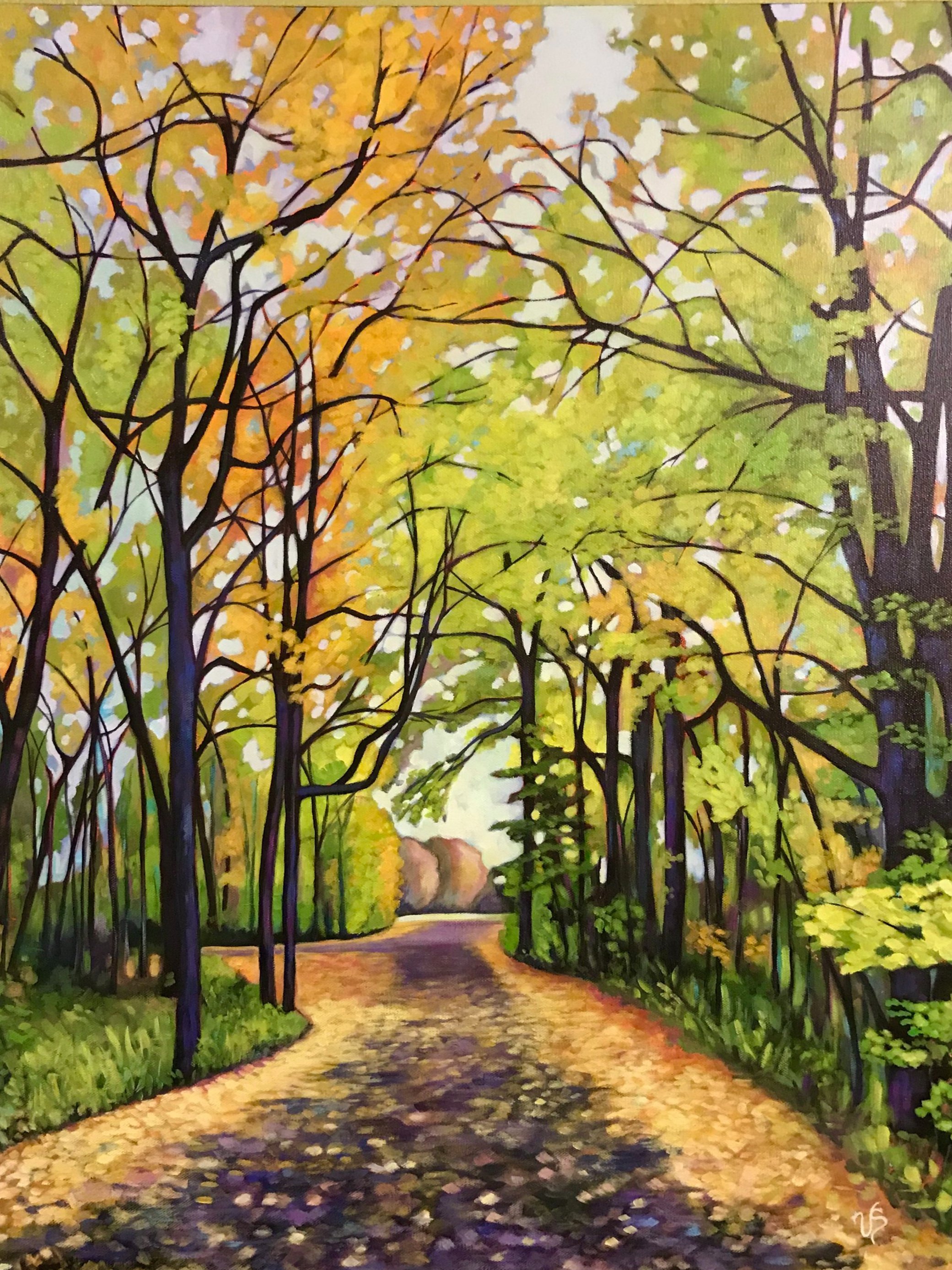 Trees & Landscapes