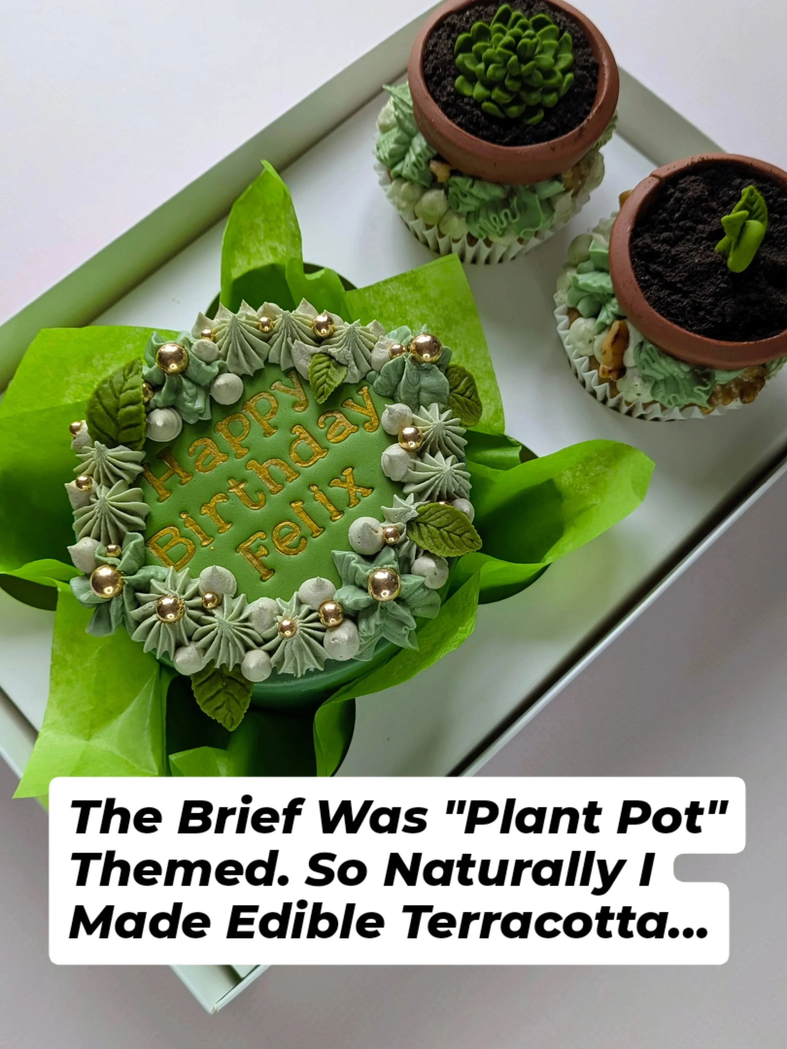 Felix's mum got in touch and asked if I could make it "plant pot themed."So obviously I went full botanical garden. 😂

Cupcakes styled as terracotta pots with fondant toppers, oreo cookie soil and sugar paste plants sprouting out the top. 