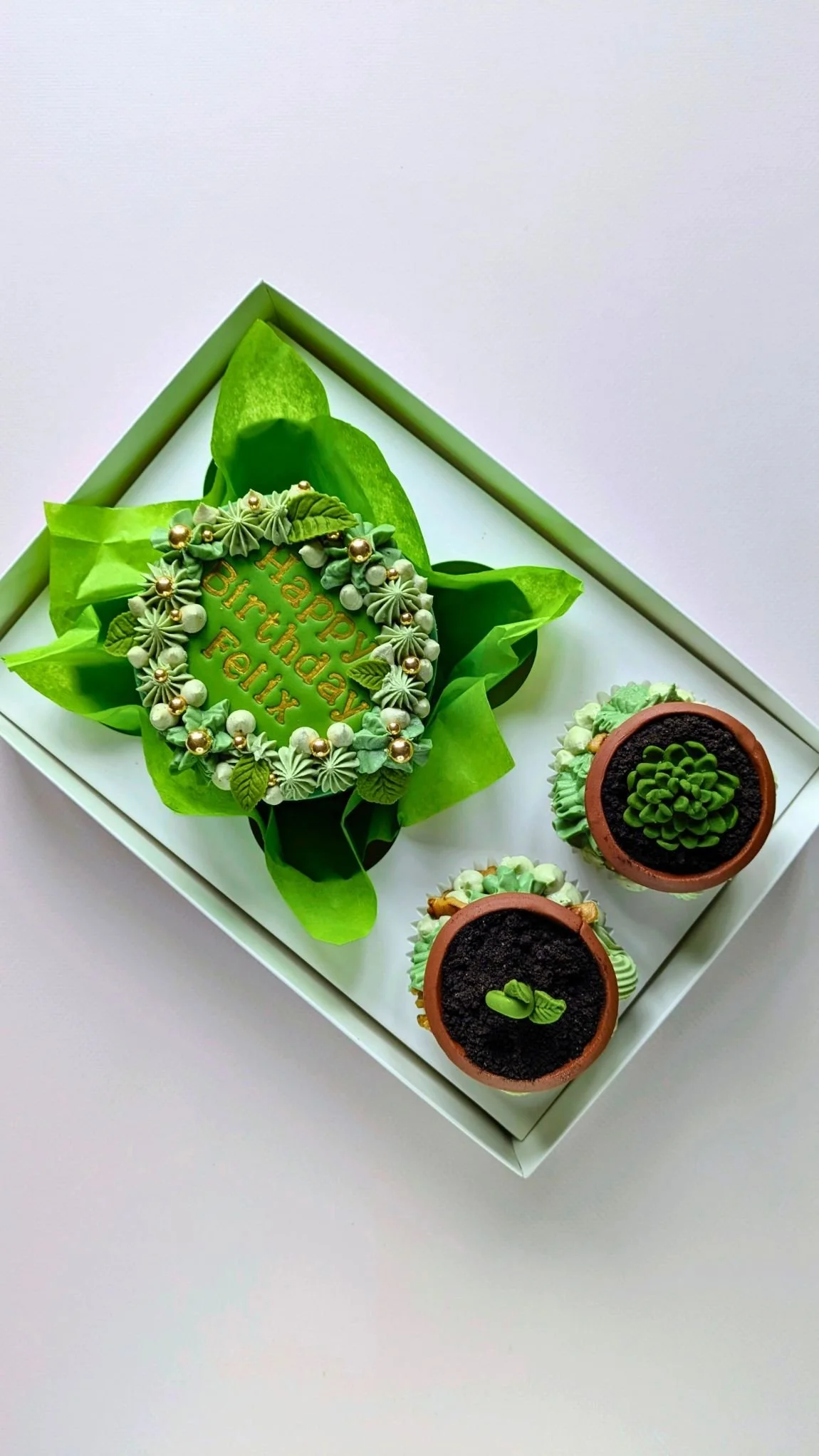 vegan plant pot themed birthday cake bento box with two matching cupcakes in bristol.