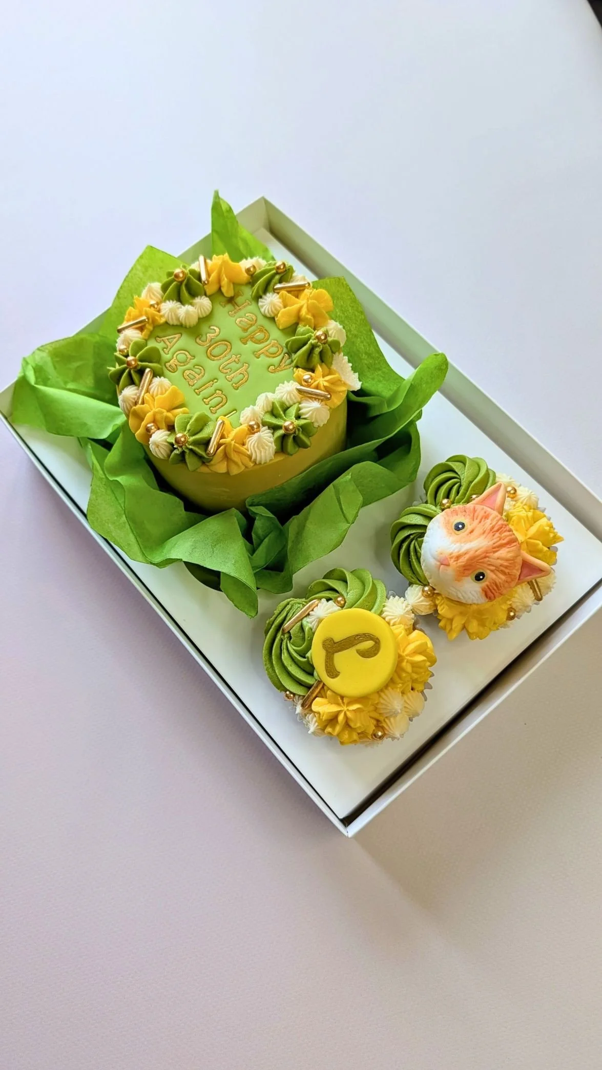 Vegan cat themed birthday cake bento box with two matching cupcakes in Bristol