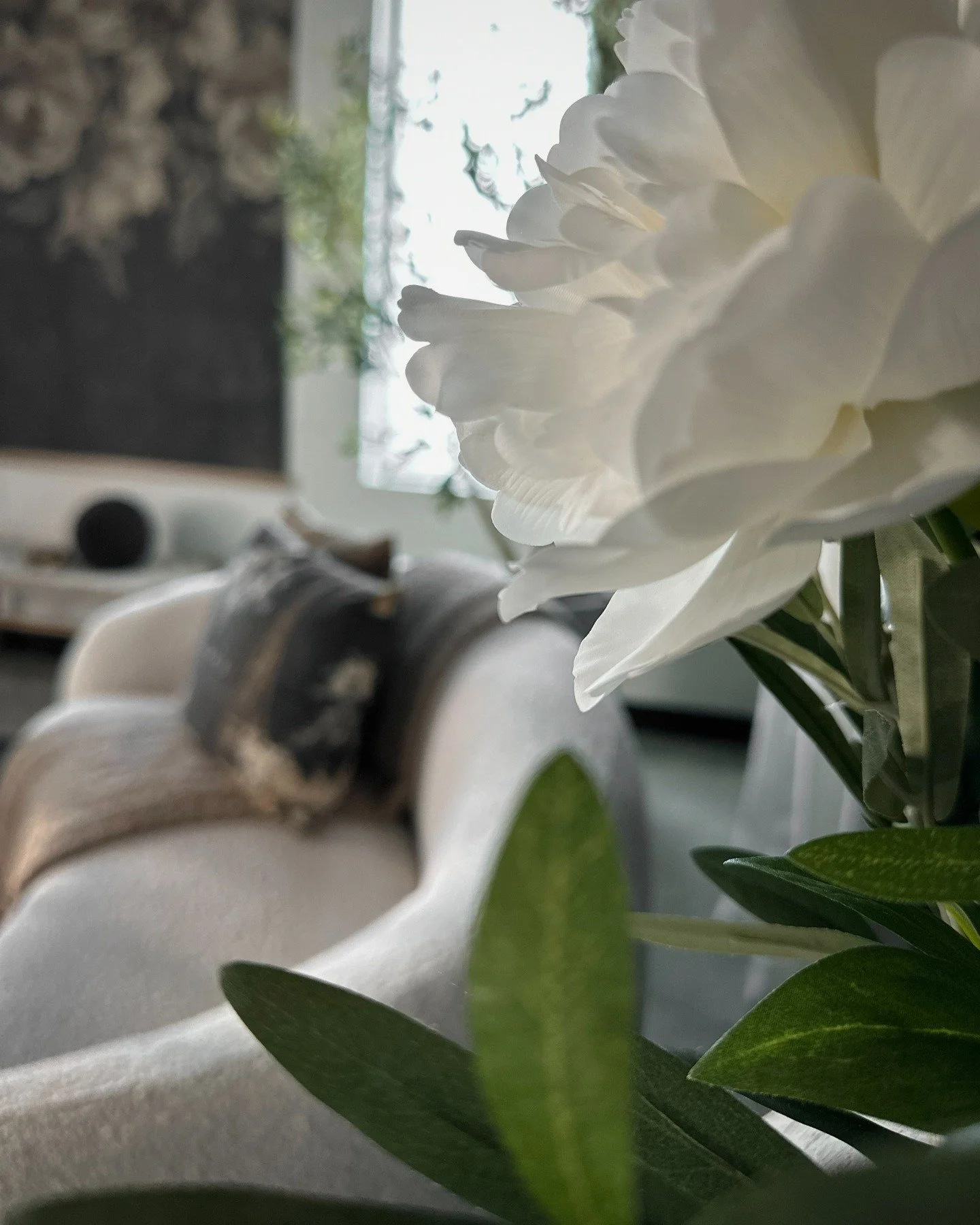 Softness inside structure. 🤍

Light, texture, and negative space between concrete.

Not for props.
Not for trends.
But for presence.

Now booking studio time
d14 Studio &mdash; Madison Heights
Link in bio

#d14studio
#detroitphotographystudio
#detro