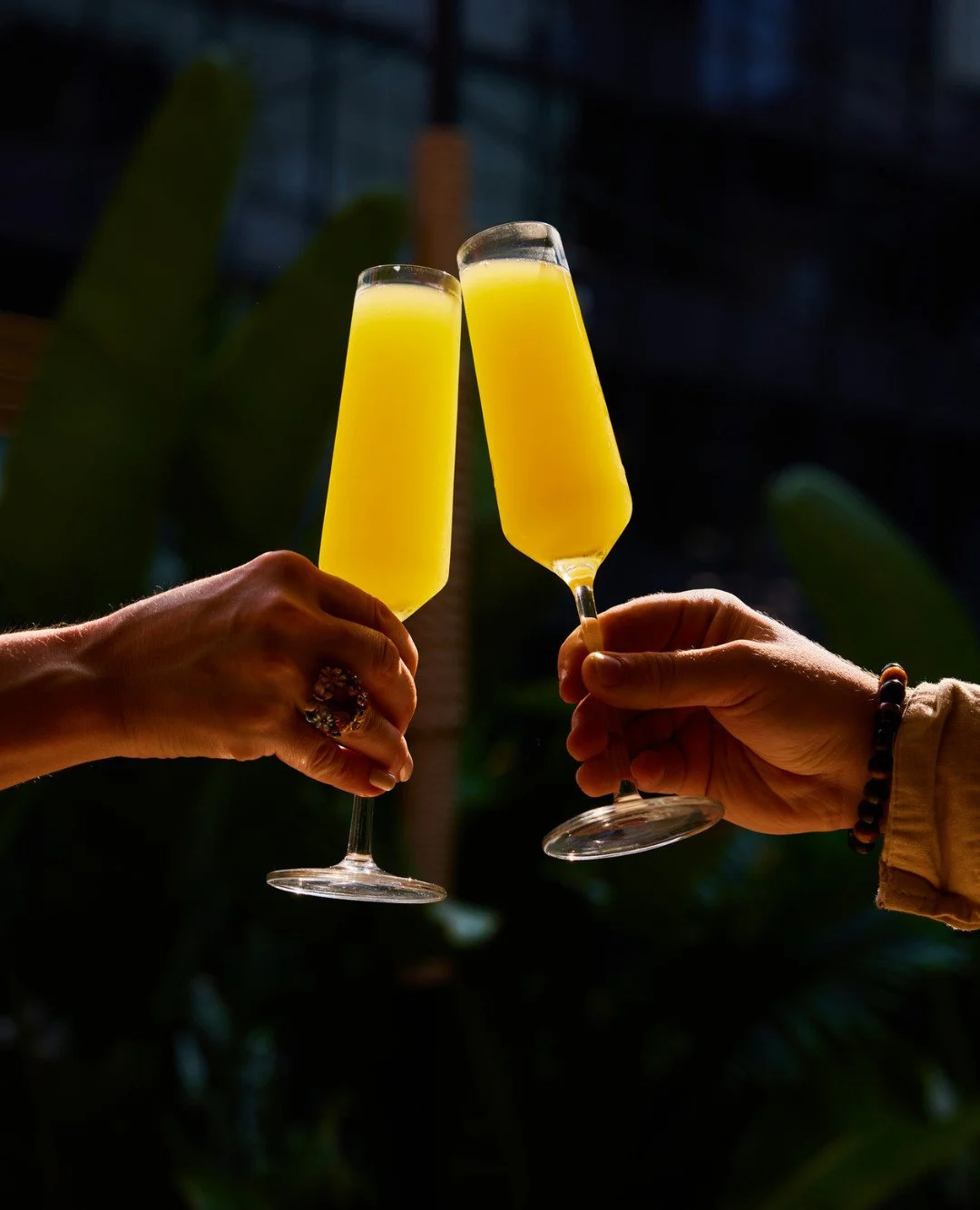 Celebrate the weekend with bottomless brunch at Toro.
From 12 - 4PM Saturday and Sunday you can enjoy unlimited bites and bebidas from mimosas and al pastor pork belly bao, to bloody marys, churros, and more!

🔗 Book your bottomless brunch at the li