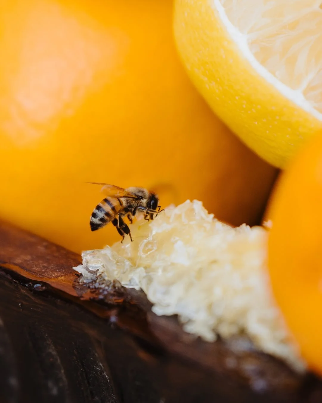 Real hives.
Real pollination.
Real impact.

Viva Abejas partners, @freerangebeehives install, maintain, and care for active beehives across a variety of hospitality and agricultural spaces.

Their ongoing care and expertise ensure these aren&rsquo;t 