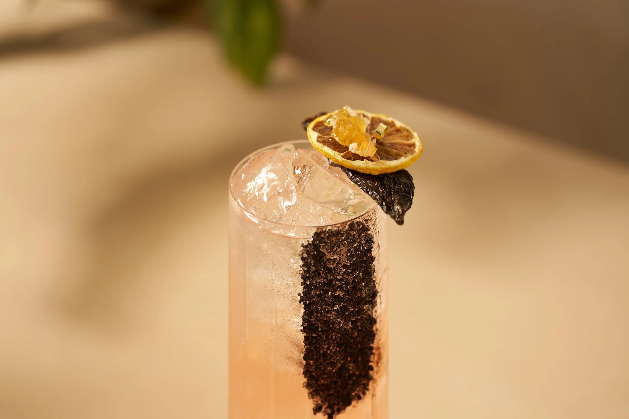 RSH-Viva-Abejas-2026-Honey-Paloma-5-2100x1400-6539561e-68c5-4e00-9d44-256041f1d291 (1).jpg