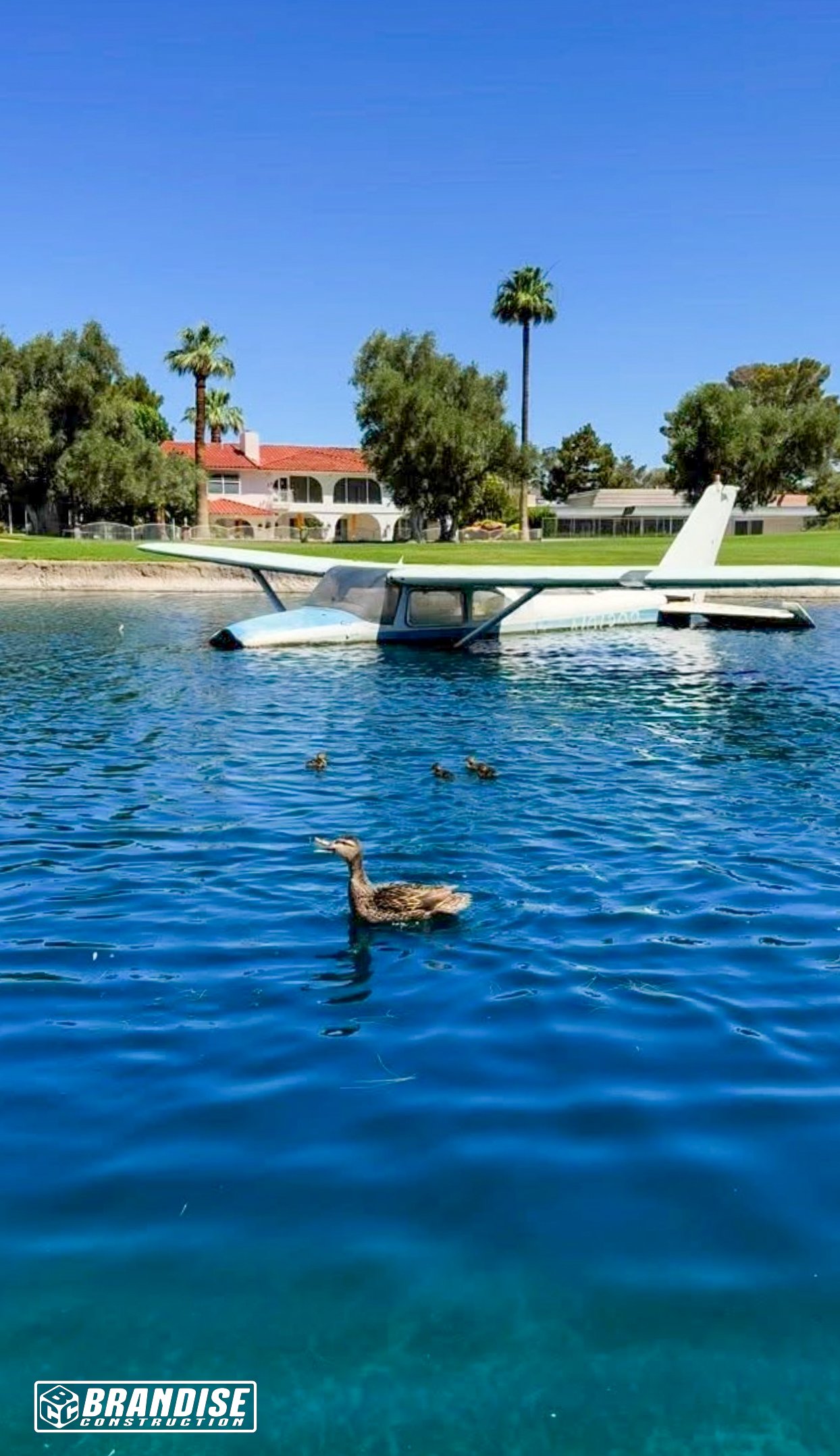 2025 Brandise Tee Party-028.jpg