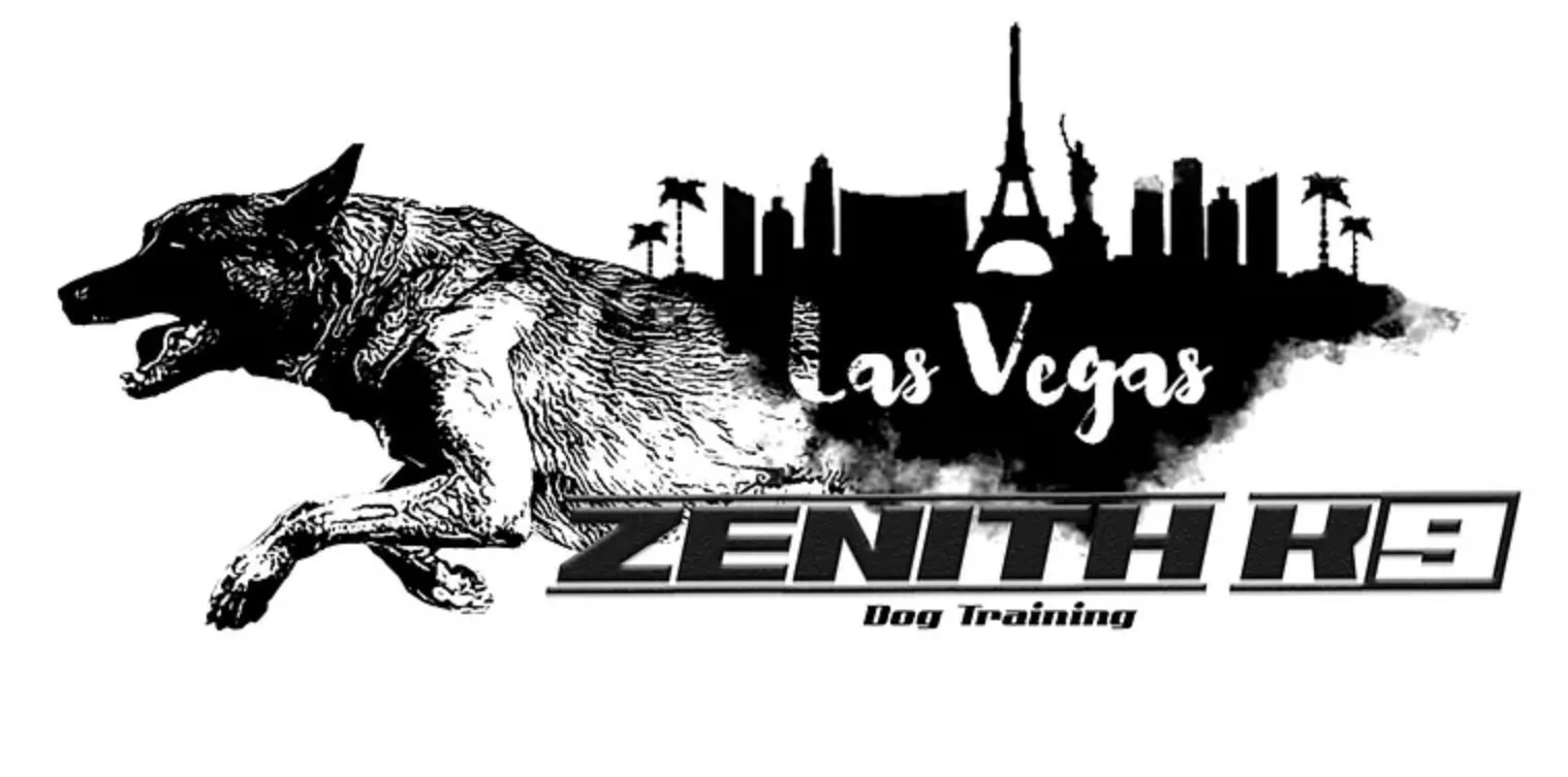 Screen Shot 2024-04-02 at 3.56.33 PM.jpg