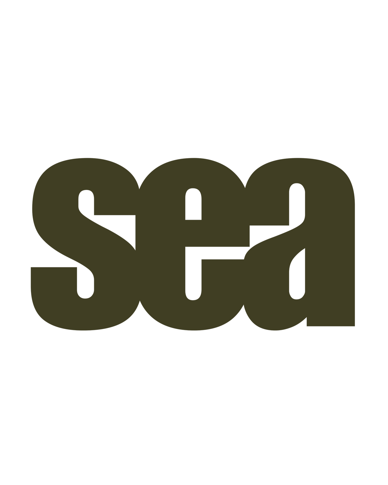 SEA Social Agency