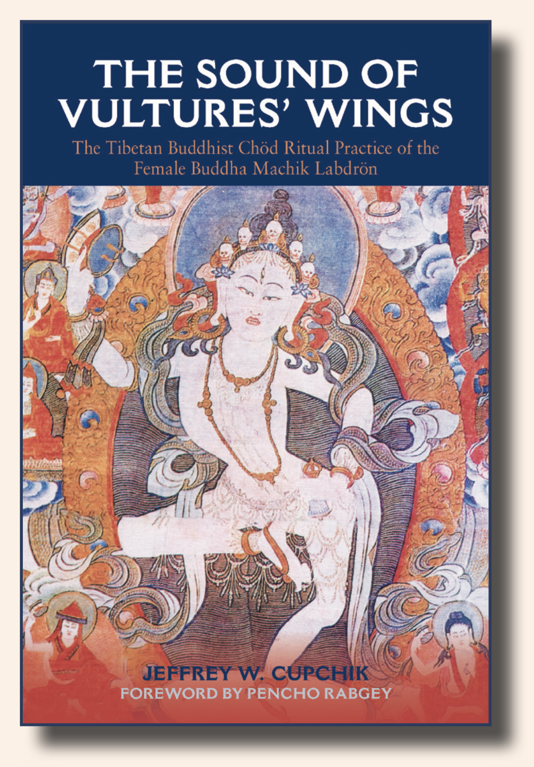 Sound of Vultures' Wings