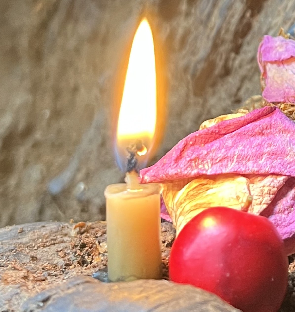 Grief Circle - 4 weekly sessions 9/2/2026-2/3/2026