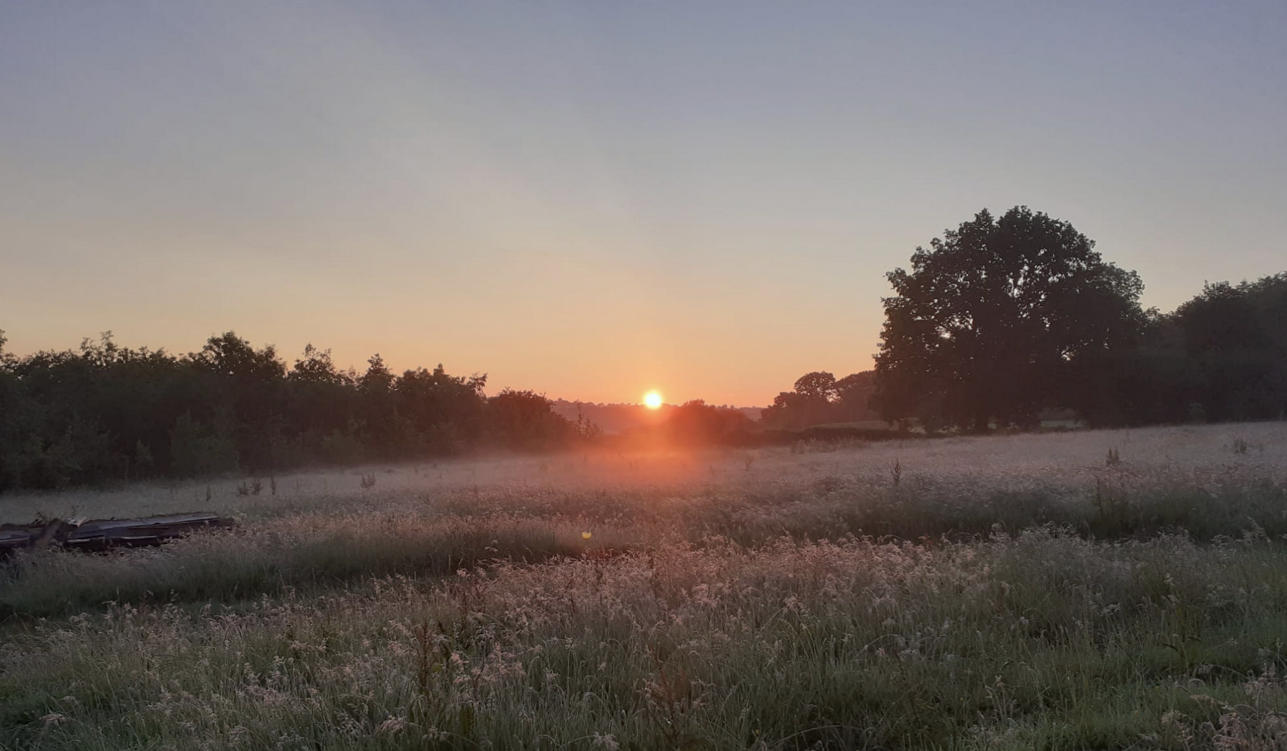 Constellations Camp Devon