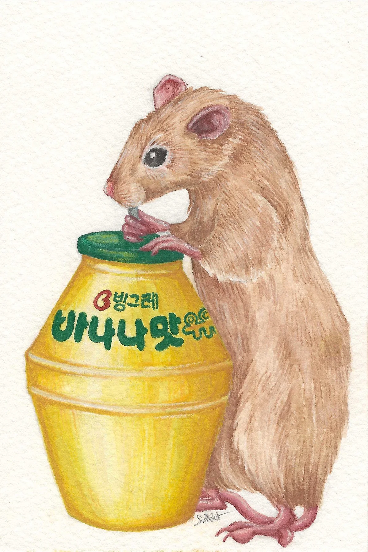 Watercolor and colored pencils