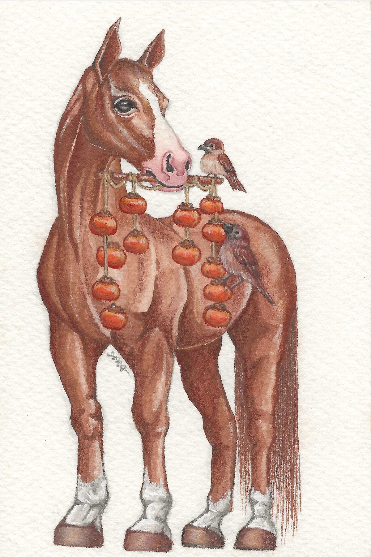 Watercolor and colored pencils