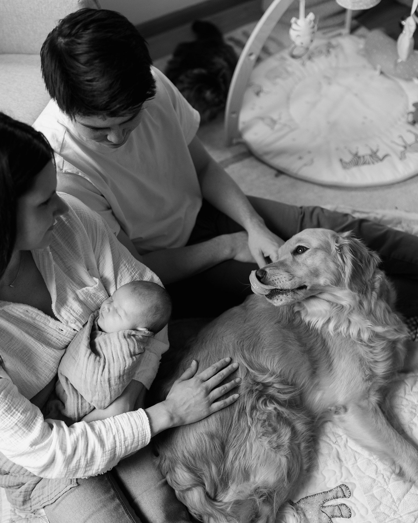 An afternoon with the Hawkinson&rsquo;s when their girl was still a wee newborn babe. ✨

#seattlefamilyphotographer #seattleportraitphotographer #seattlenewbornphotographer #lifestylefamilyphotography