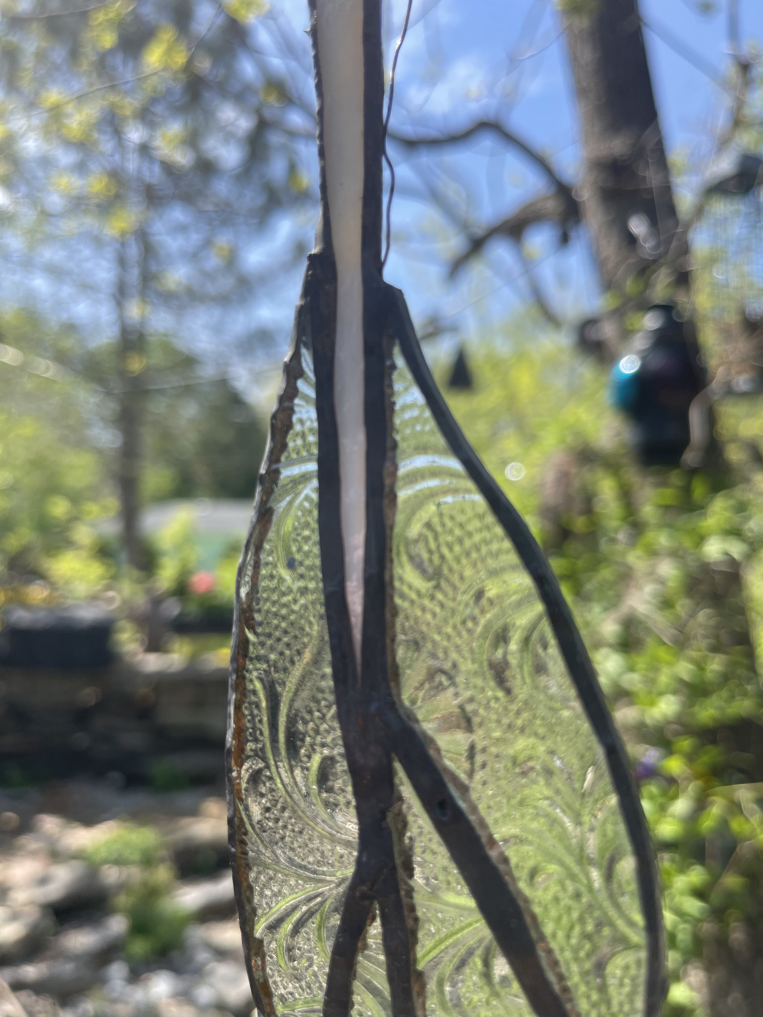 IMG_8006.jpeg