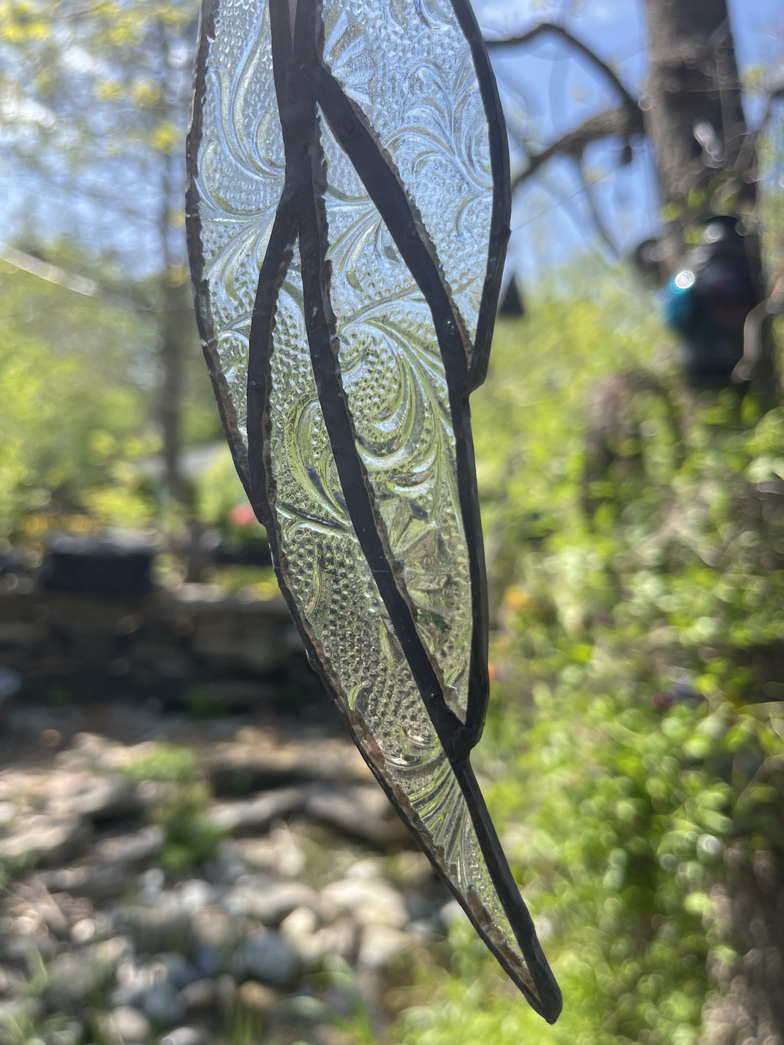 IMG_8005.jpeg
