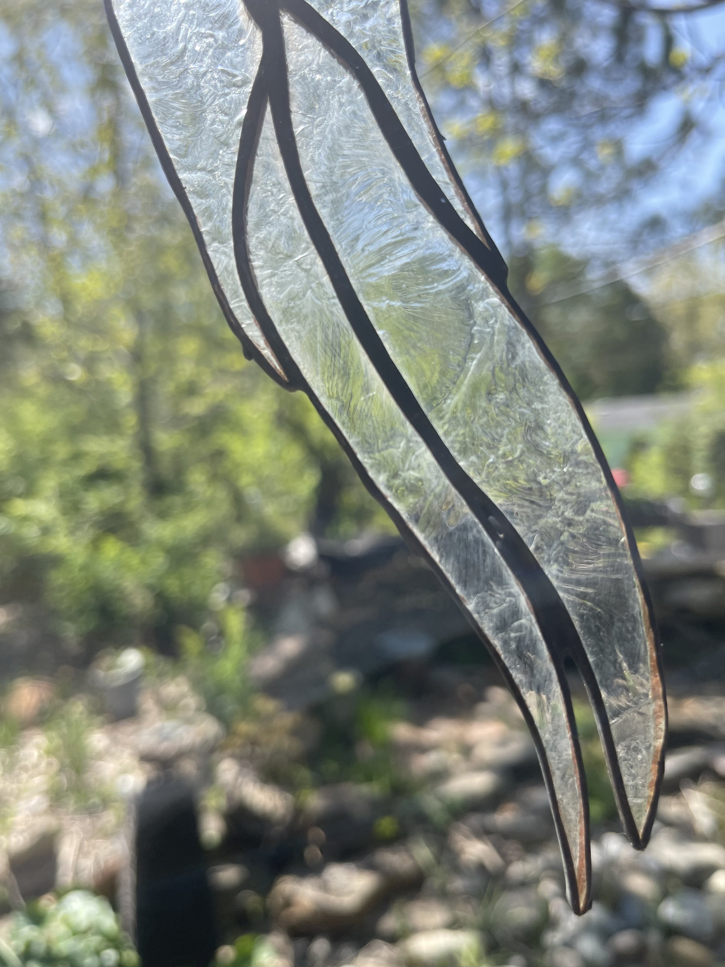 IMG_8002.jpeg