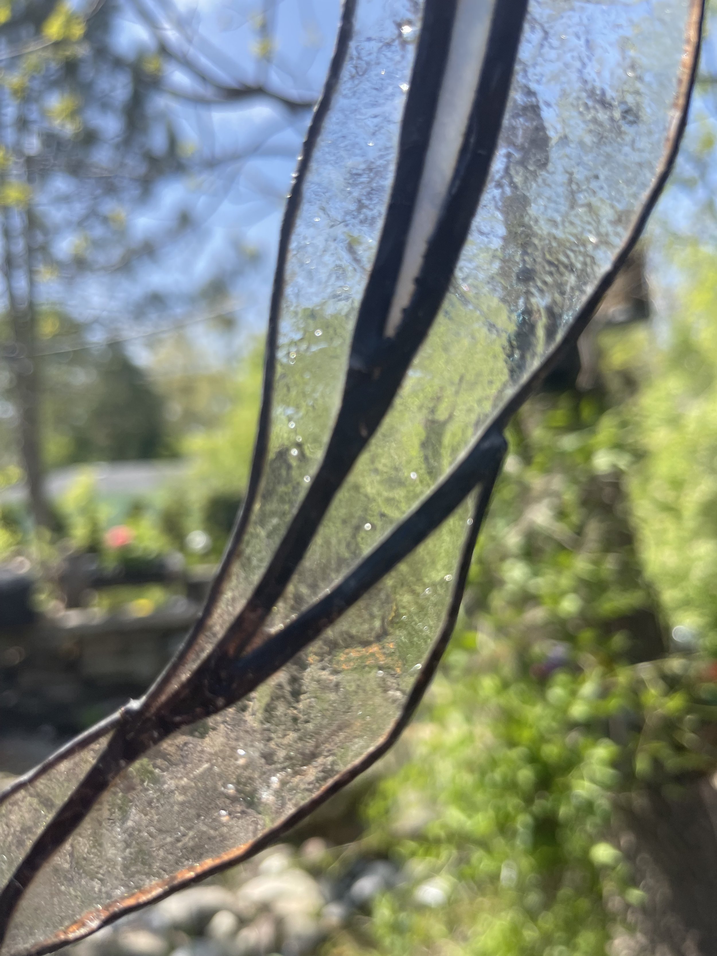 IMG_7997.jpeg