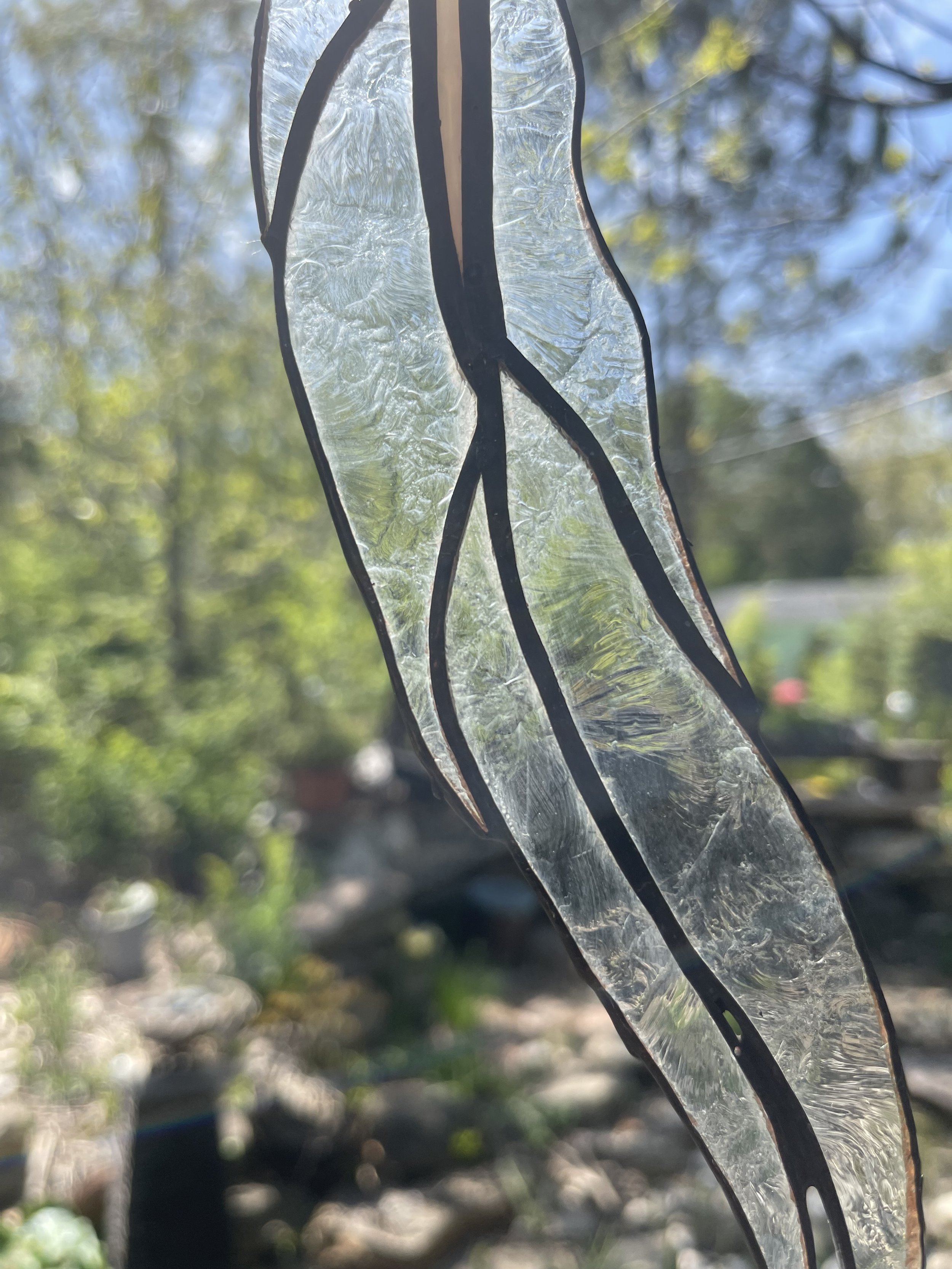 IMG_8001.jpeg