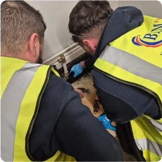 Two workers in safety vests repairing a pipe indoors.