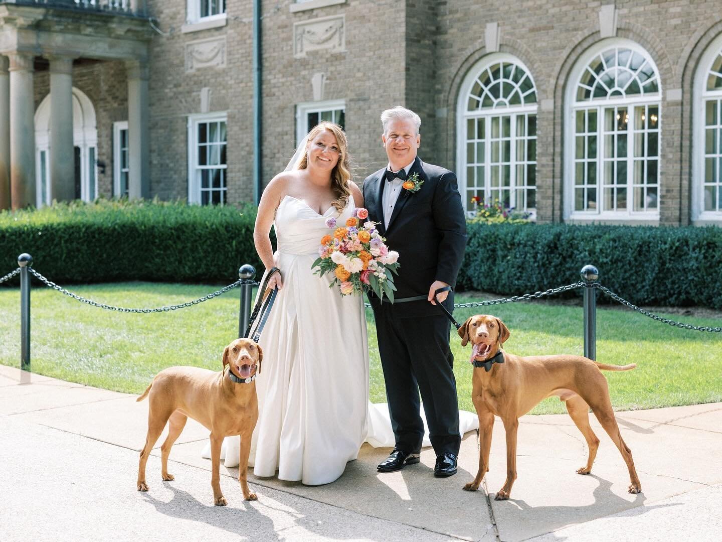 We are animal lovers and if you want to have your beloved pets as part of your wedding day - we&rsquo;re here for it! We loved meeting @waffles_the_vizsla last year!⁠
⁠
Planning + Design: Holden Michael Events⁠
Venue: @eventsatfelt⁠
Photography: @kel