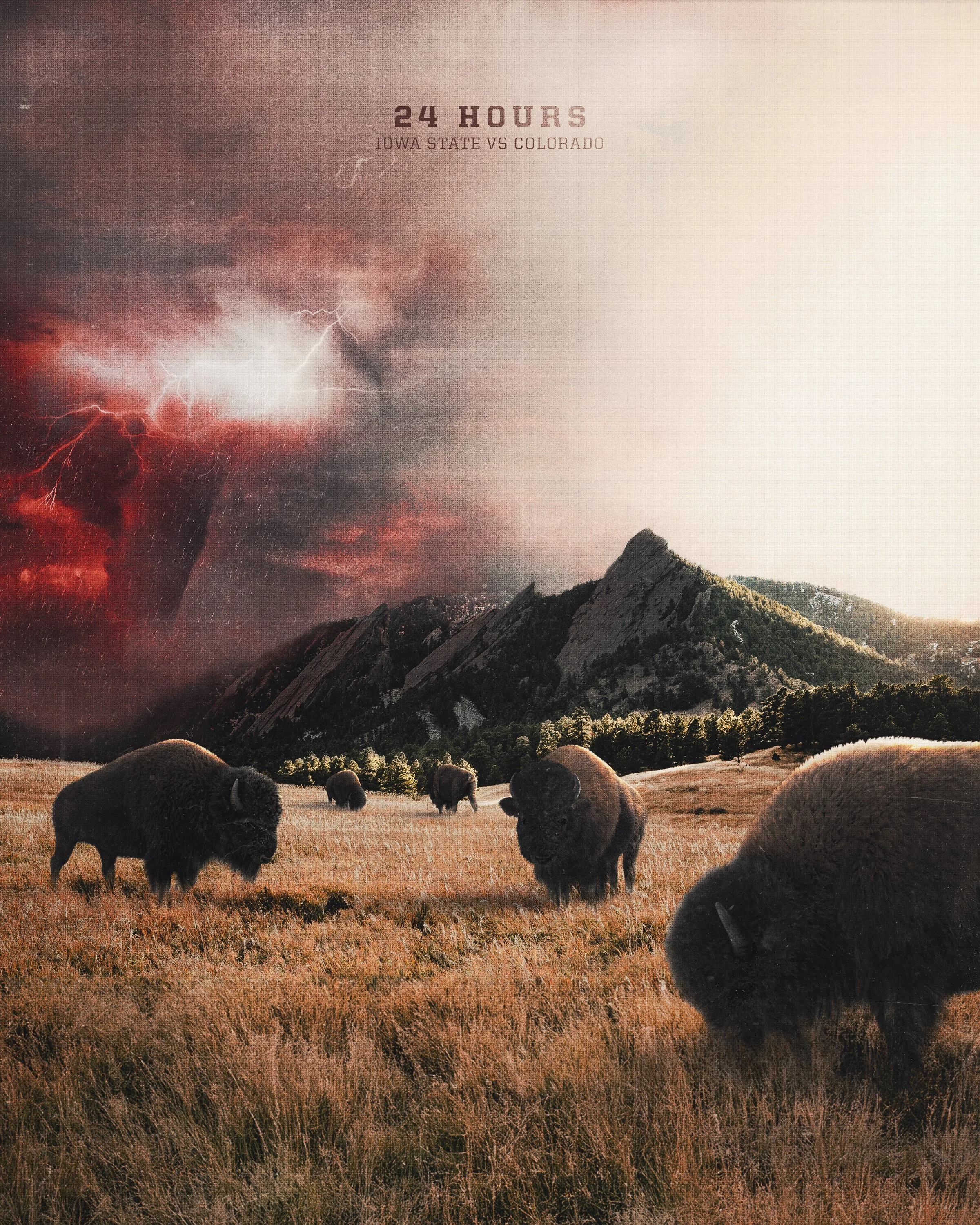 251008 - 24 Hours copy-7.jpg