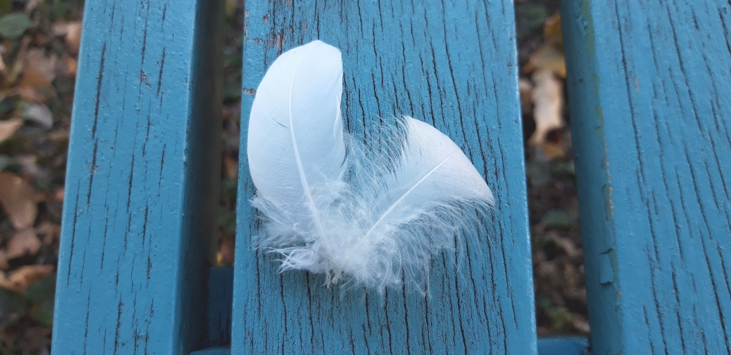 20190915_121713 - Copie.jpg