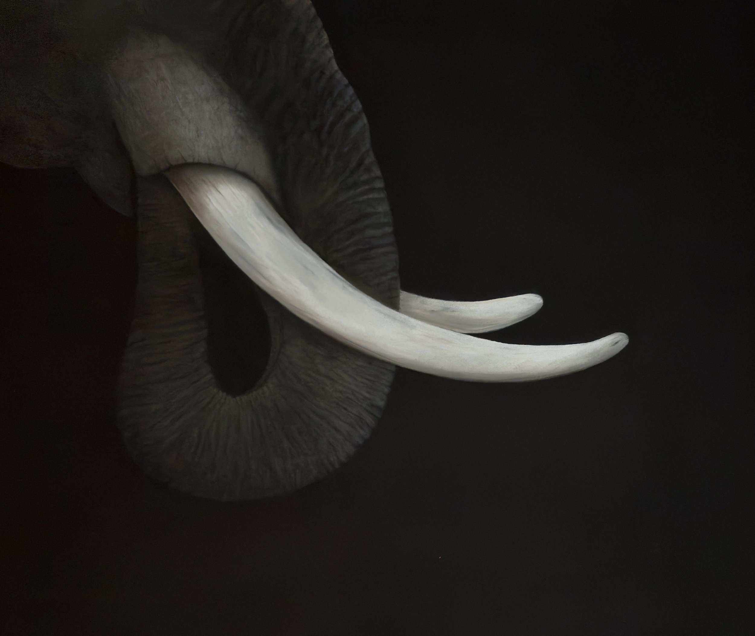 Ella the Elephant