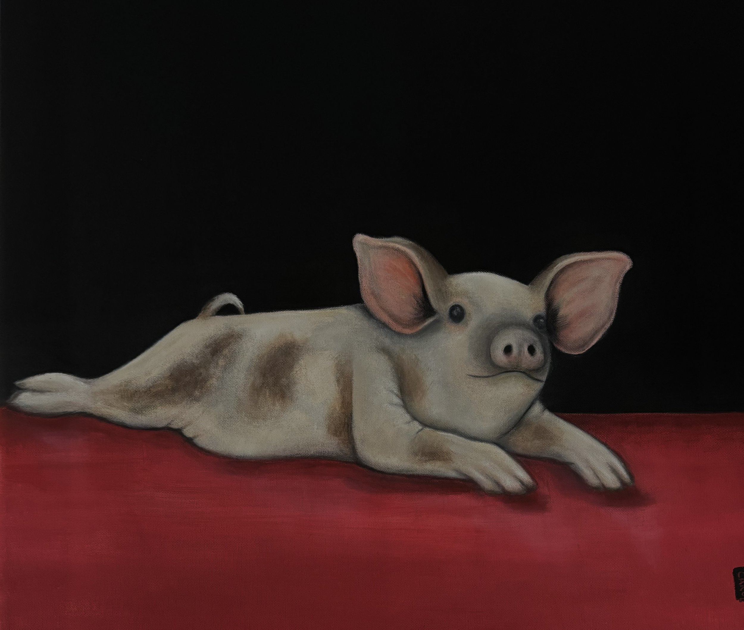 Pinky the Little Pig