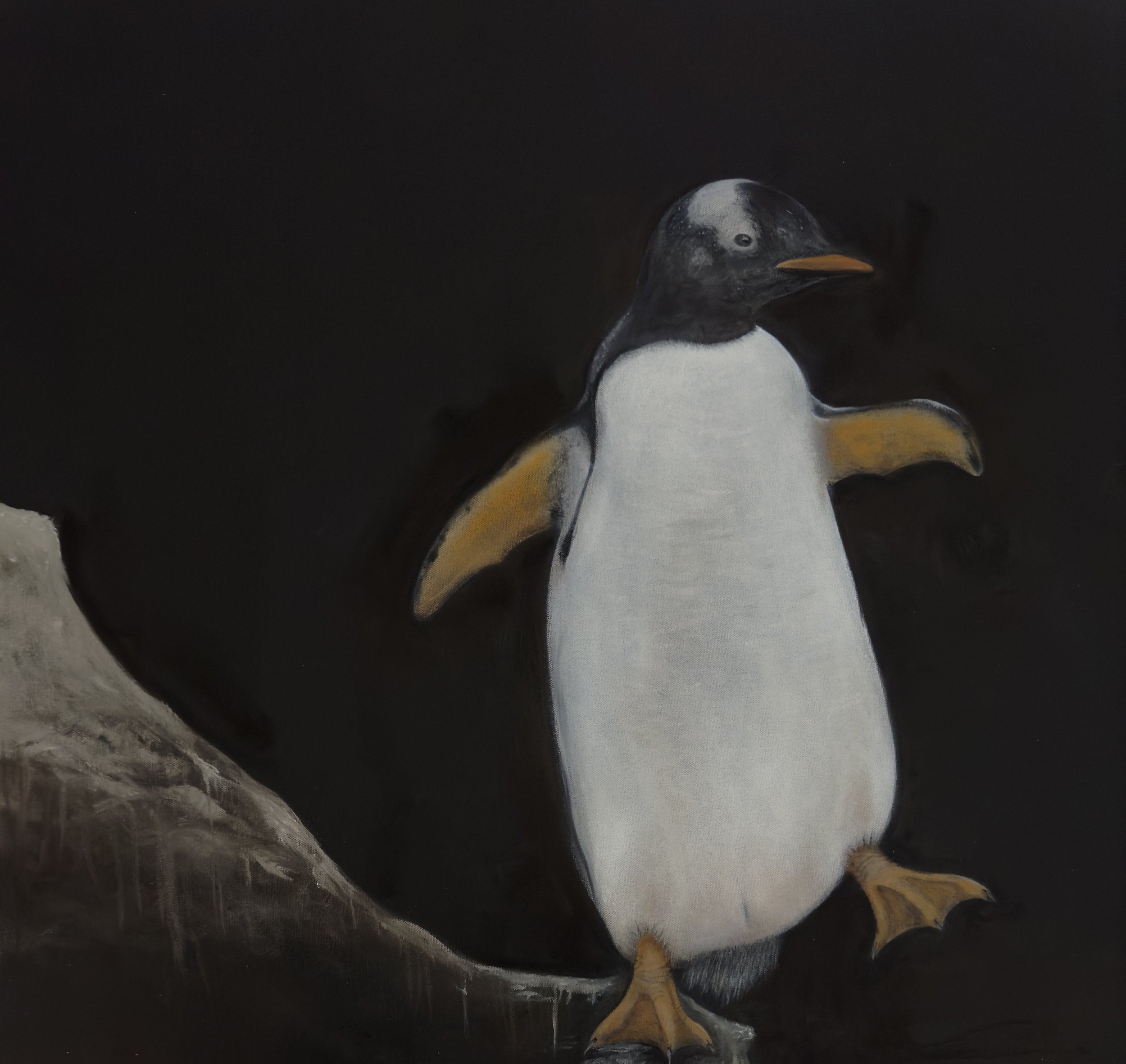 Salt the Penguin