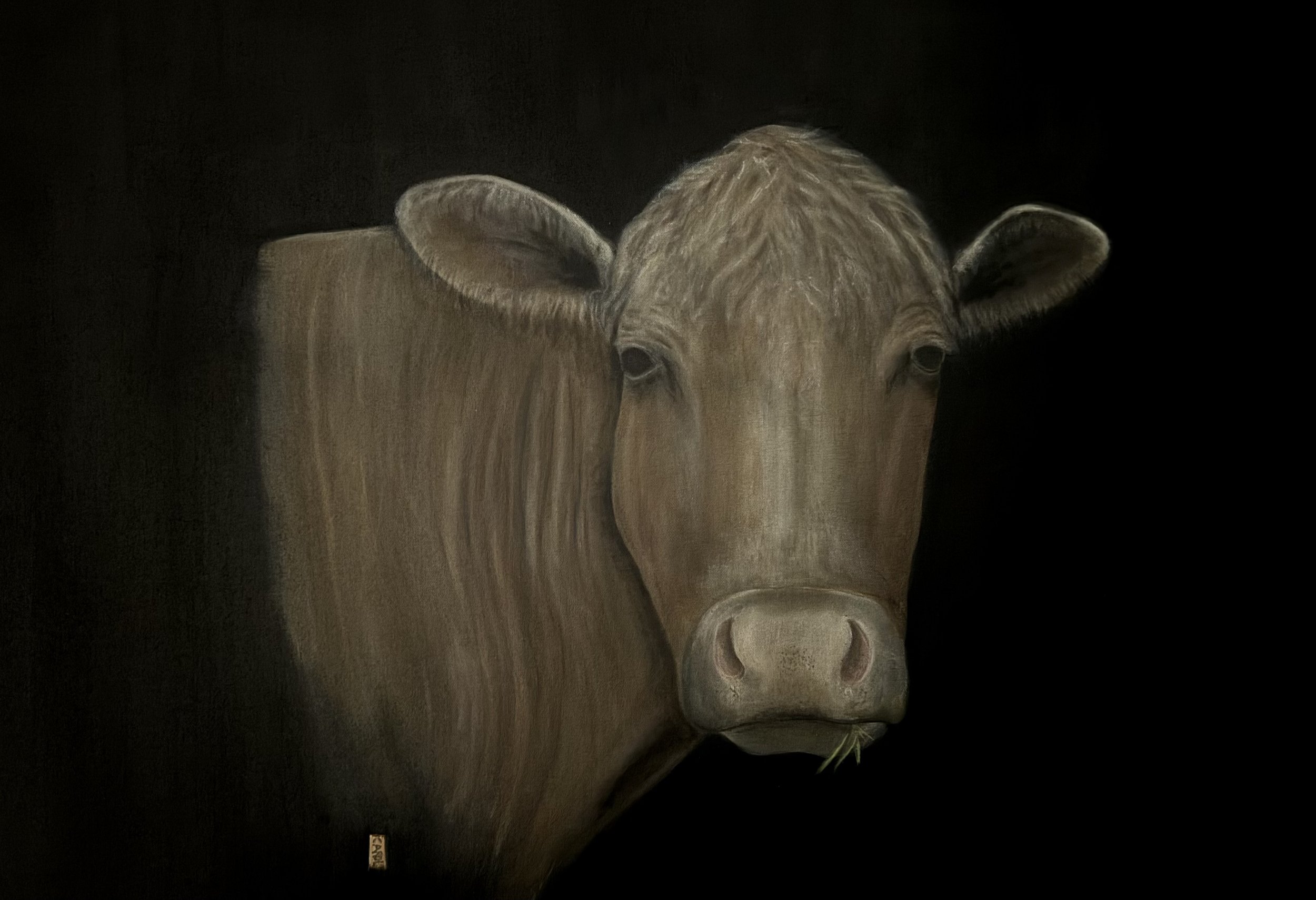 Chewy the Cow