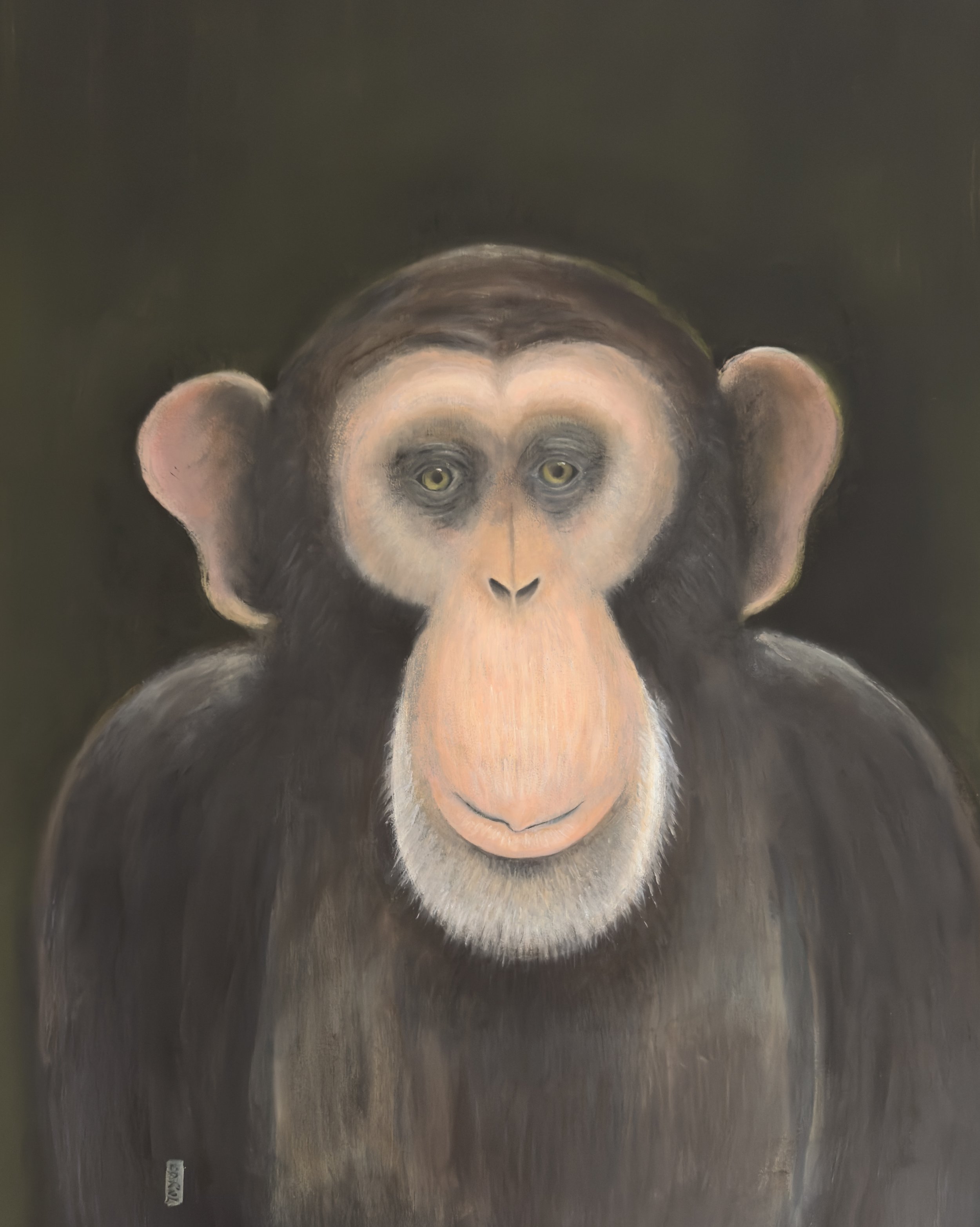 Charles the Chimp